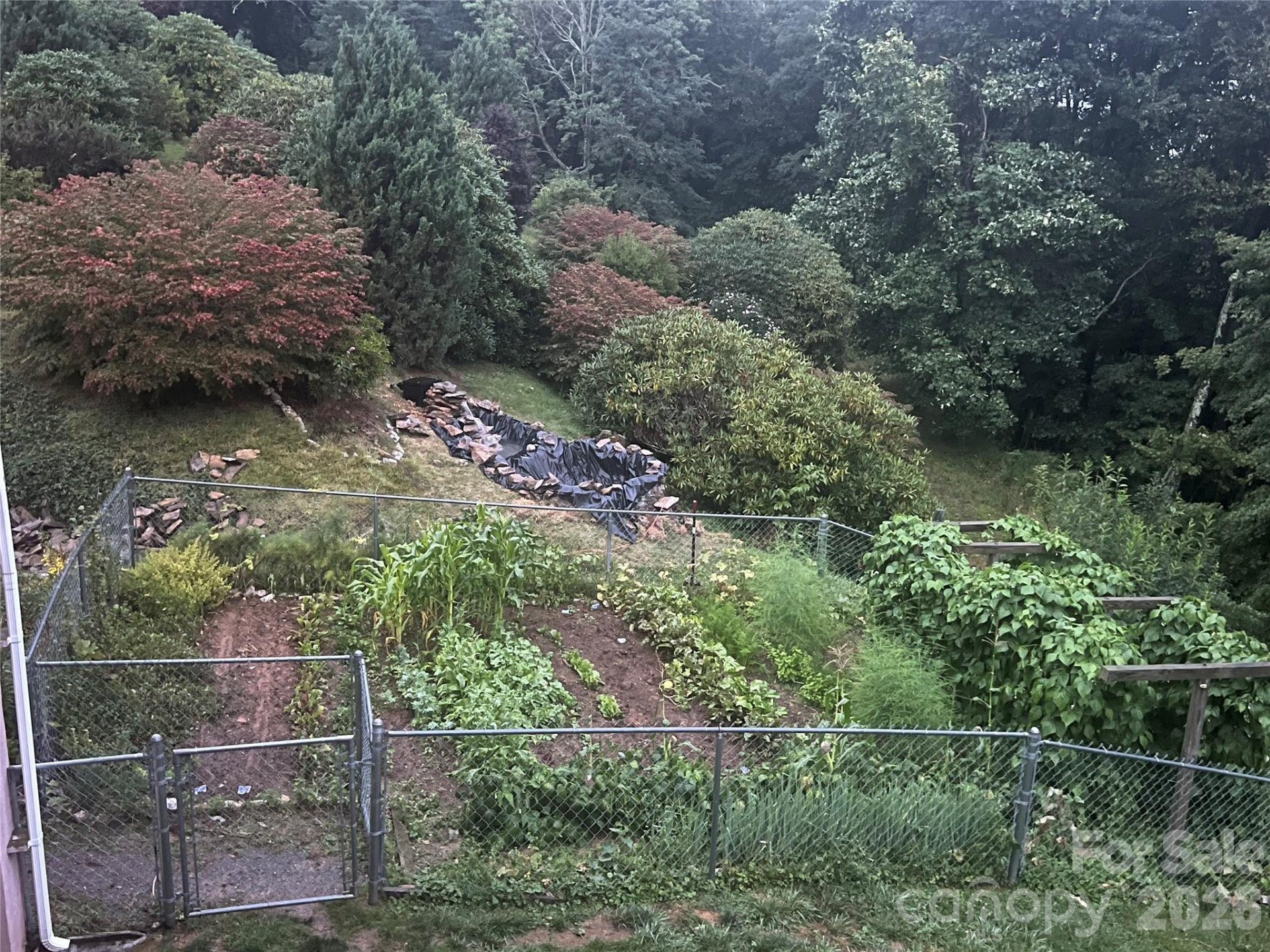 2778 Mule Stomp Road - Photo 26