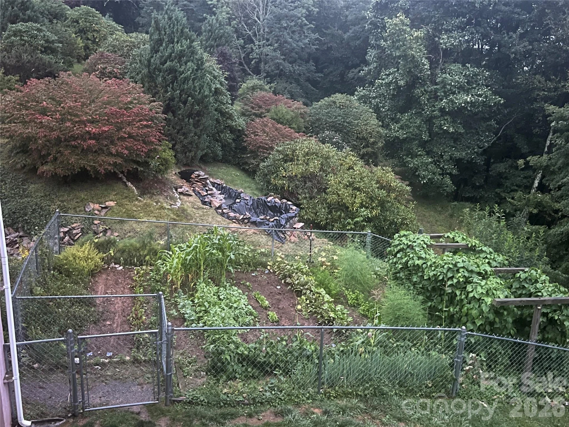 2778 Mule Stomp Road - Photo 26