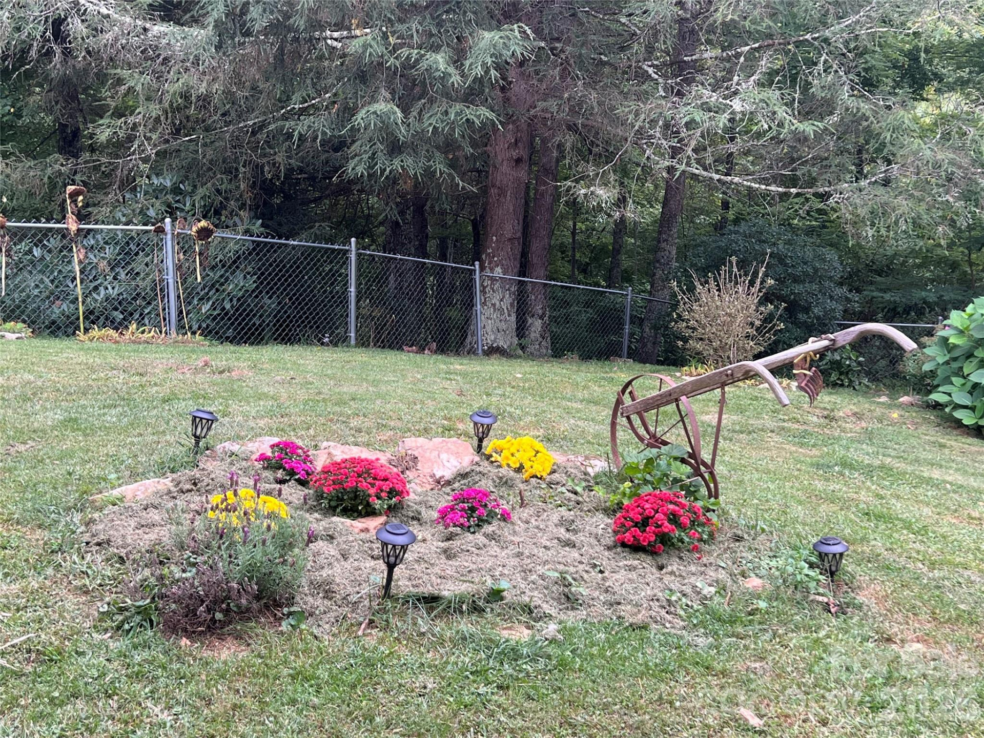 2778 Mule Stomp Road - Photo 27