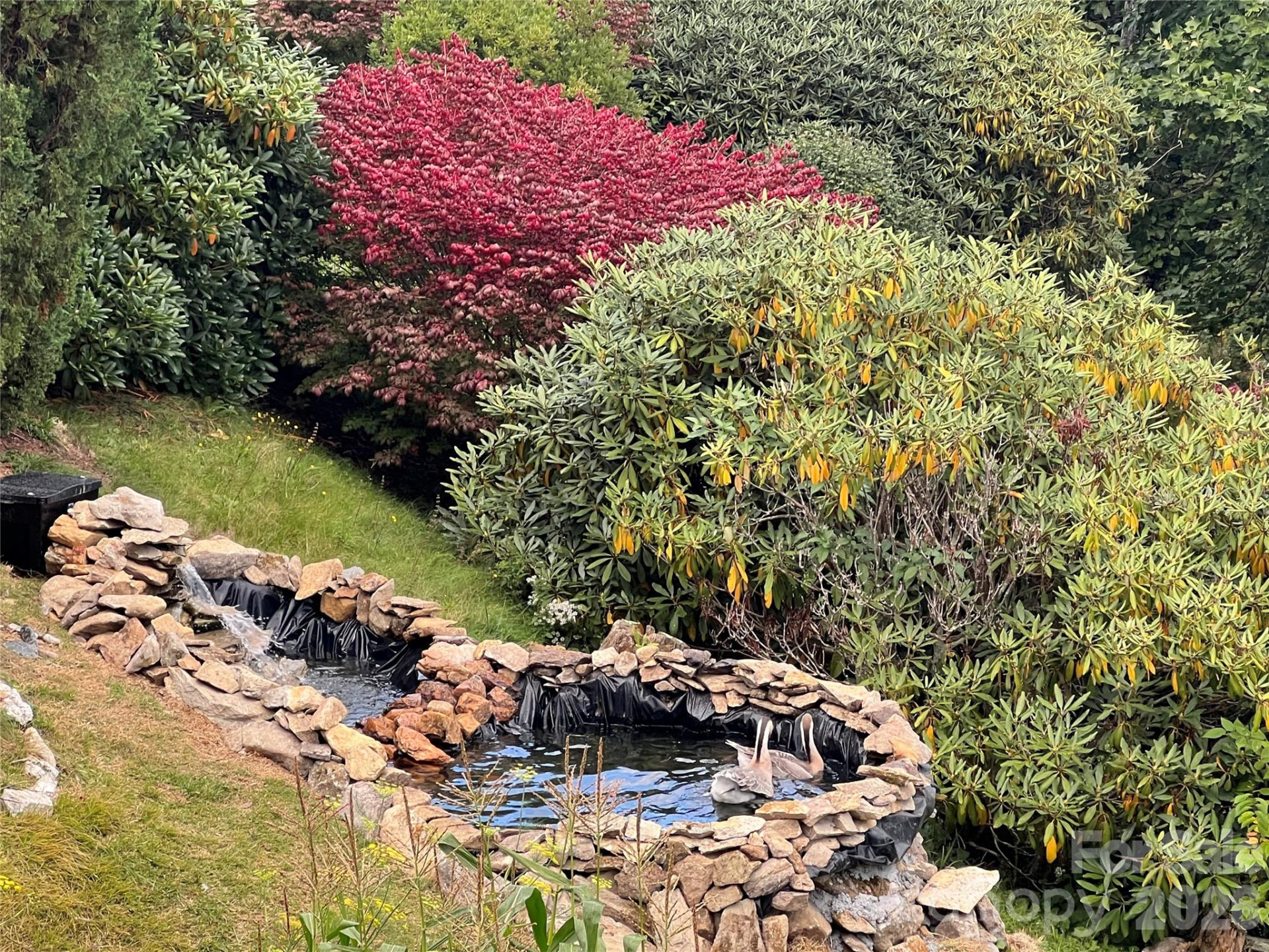 2778 Mule Stomp Road - Photo 28