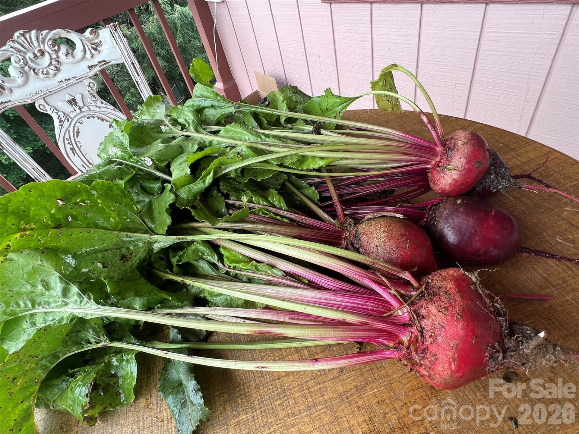 2778 Mule Stomp Road - Photo 30