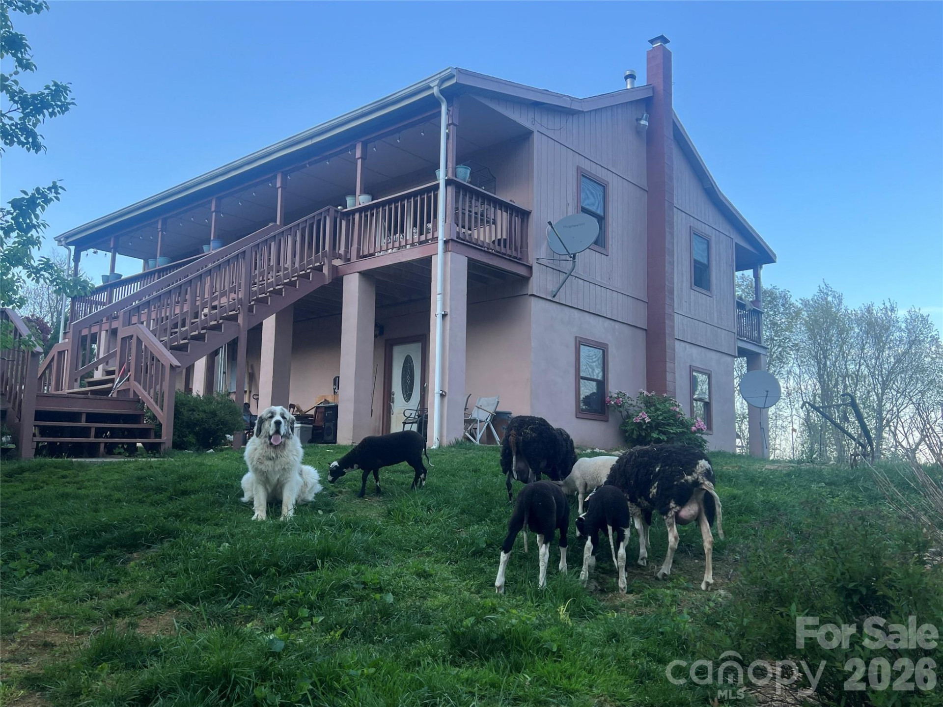 2778 Mule Stomp Road - Photo 4