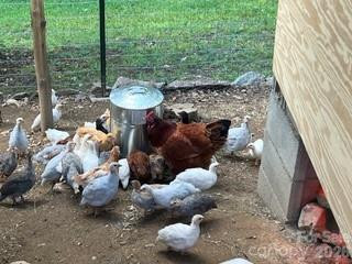 2778 Mule Stomp Road - Photo 32