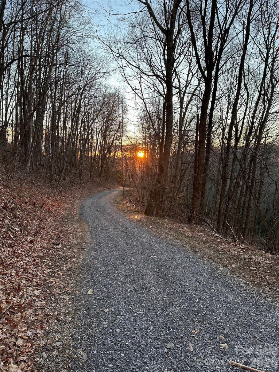 2778 Mule Stomp Road - Photo 42