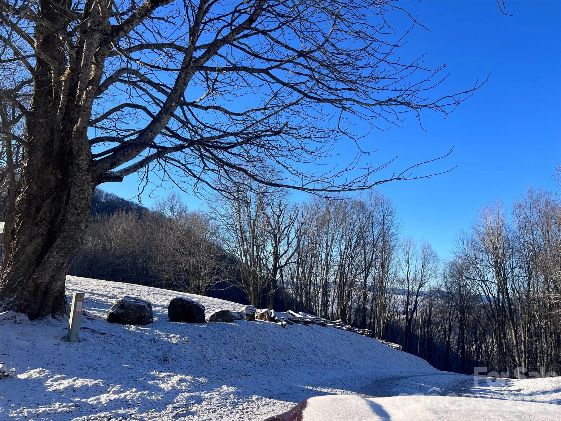 2778 Mule Stomp Road - Photo 43