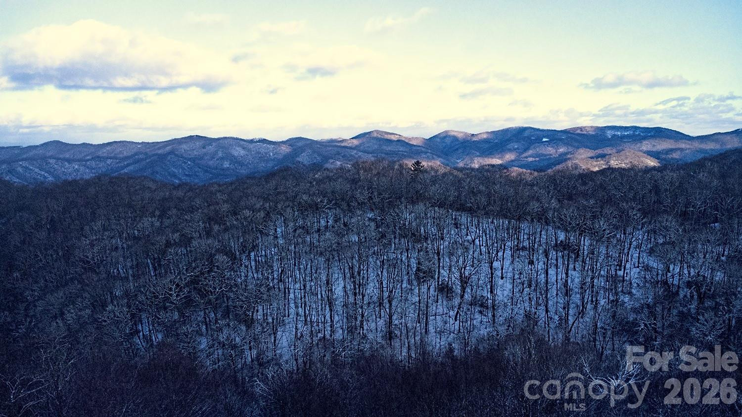 2778 Mule Stomp Road - Photo 44