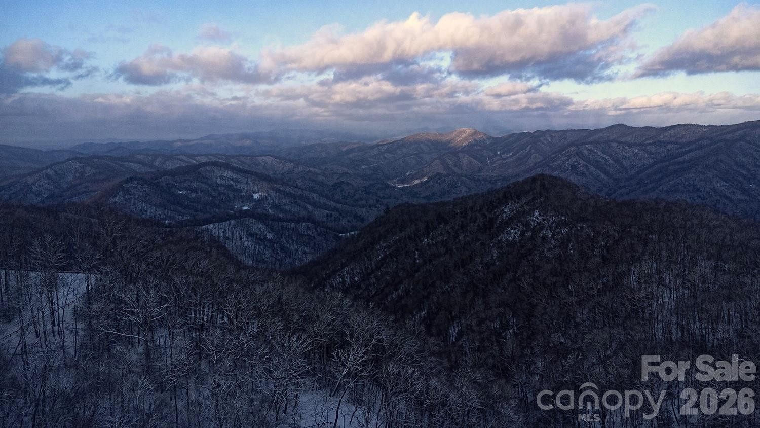 2778 Mule Stomp Road - Photo 45