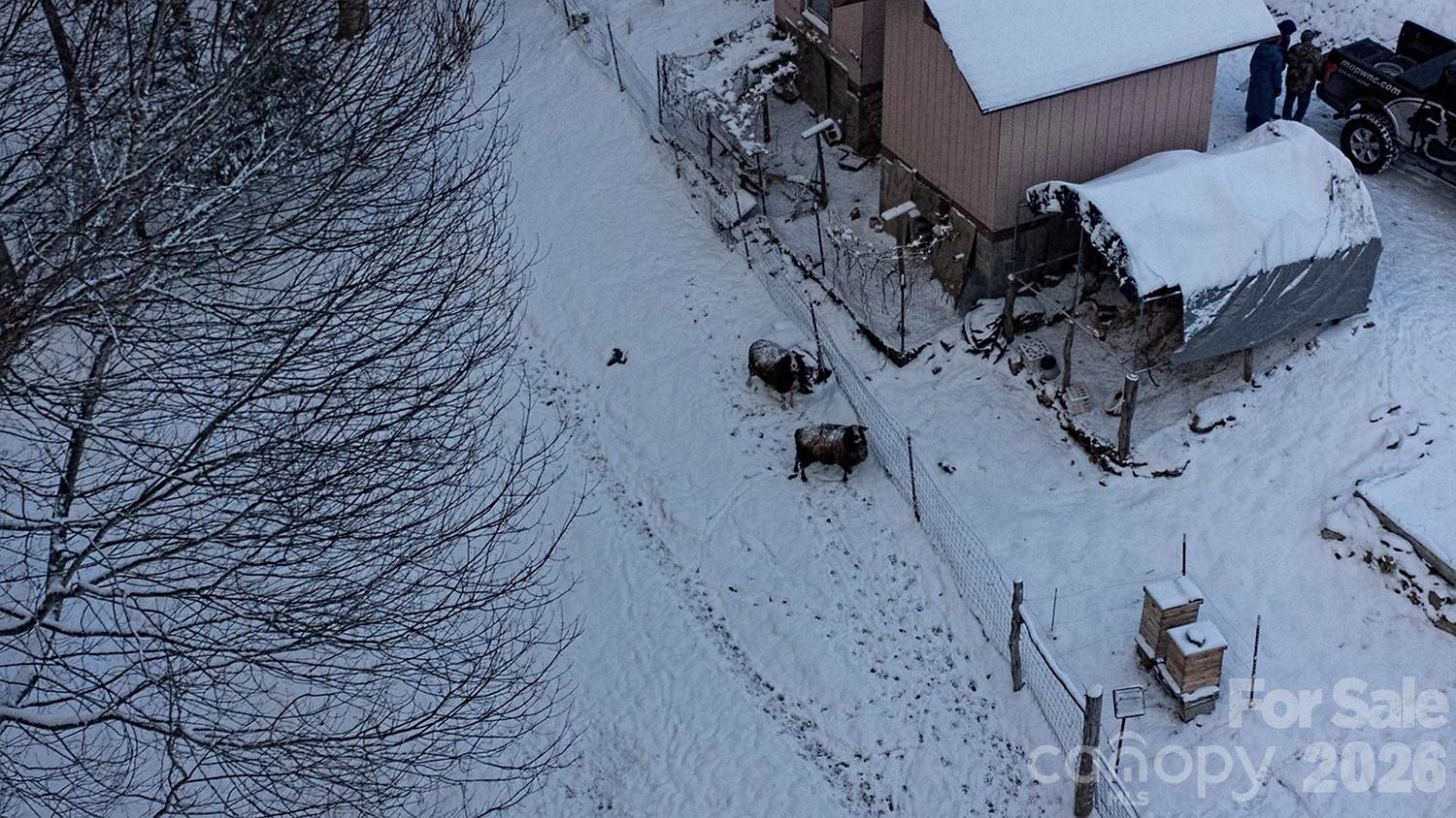 2778 Mule Stomp Road - Photo 46