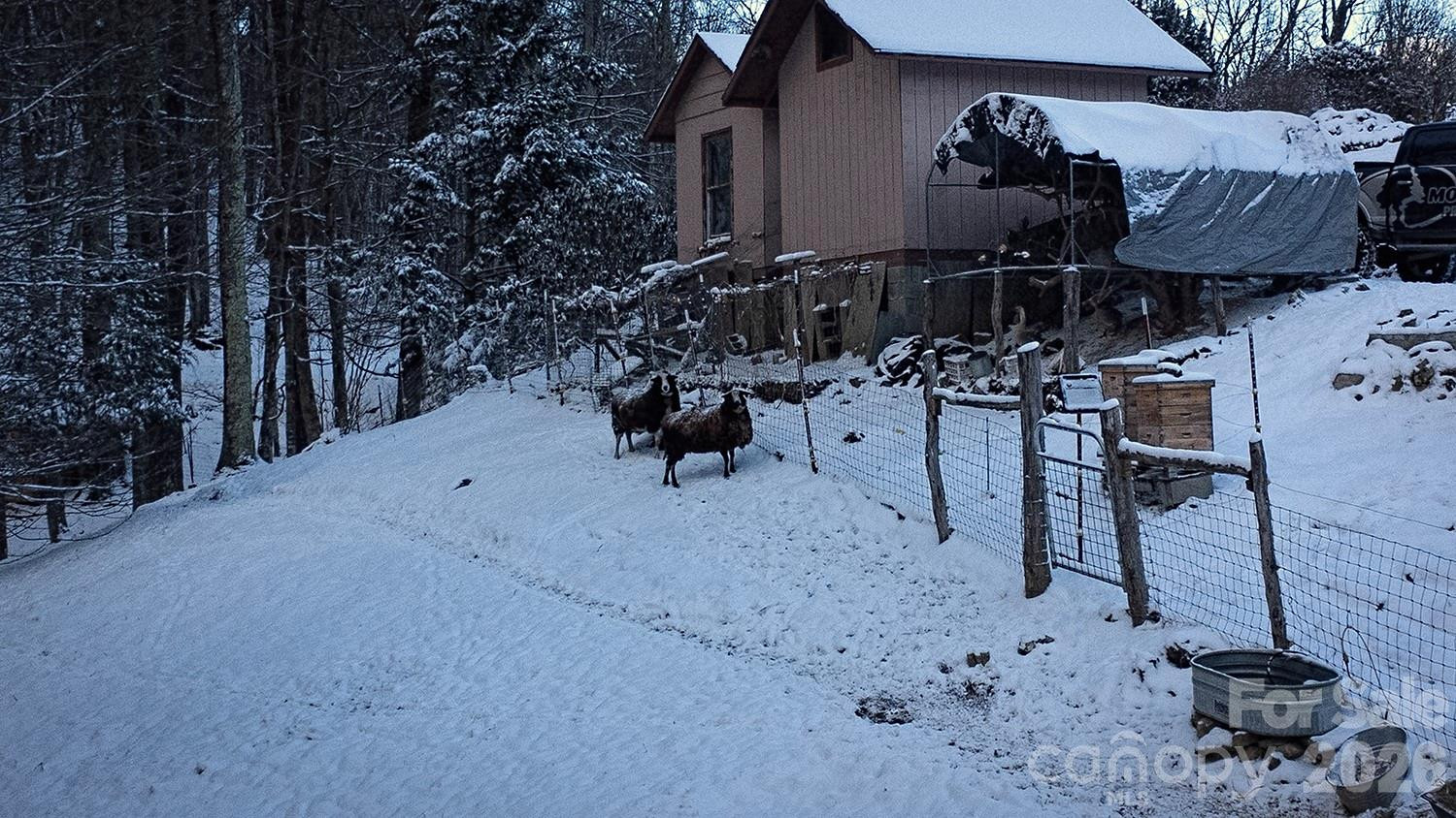 2778 Mule Stomp Road - Photo 47