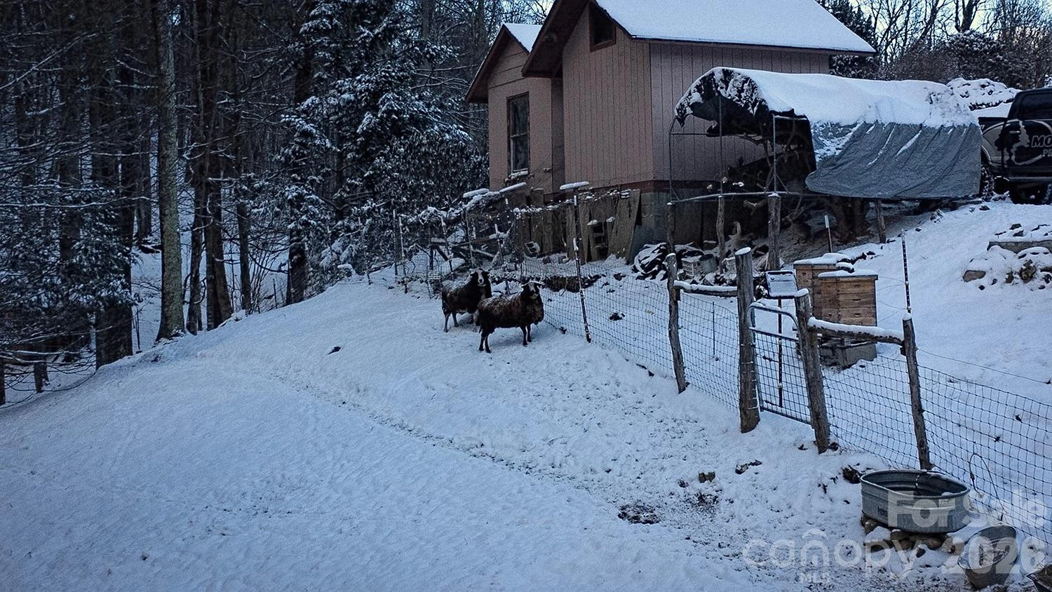 2778 Mule Stomp Road - Photo 47