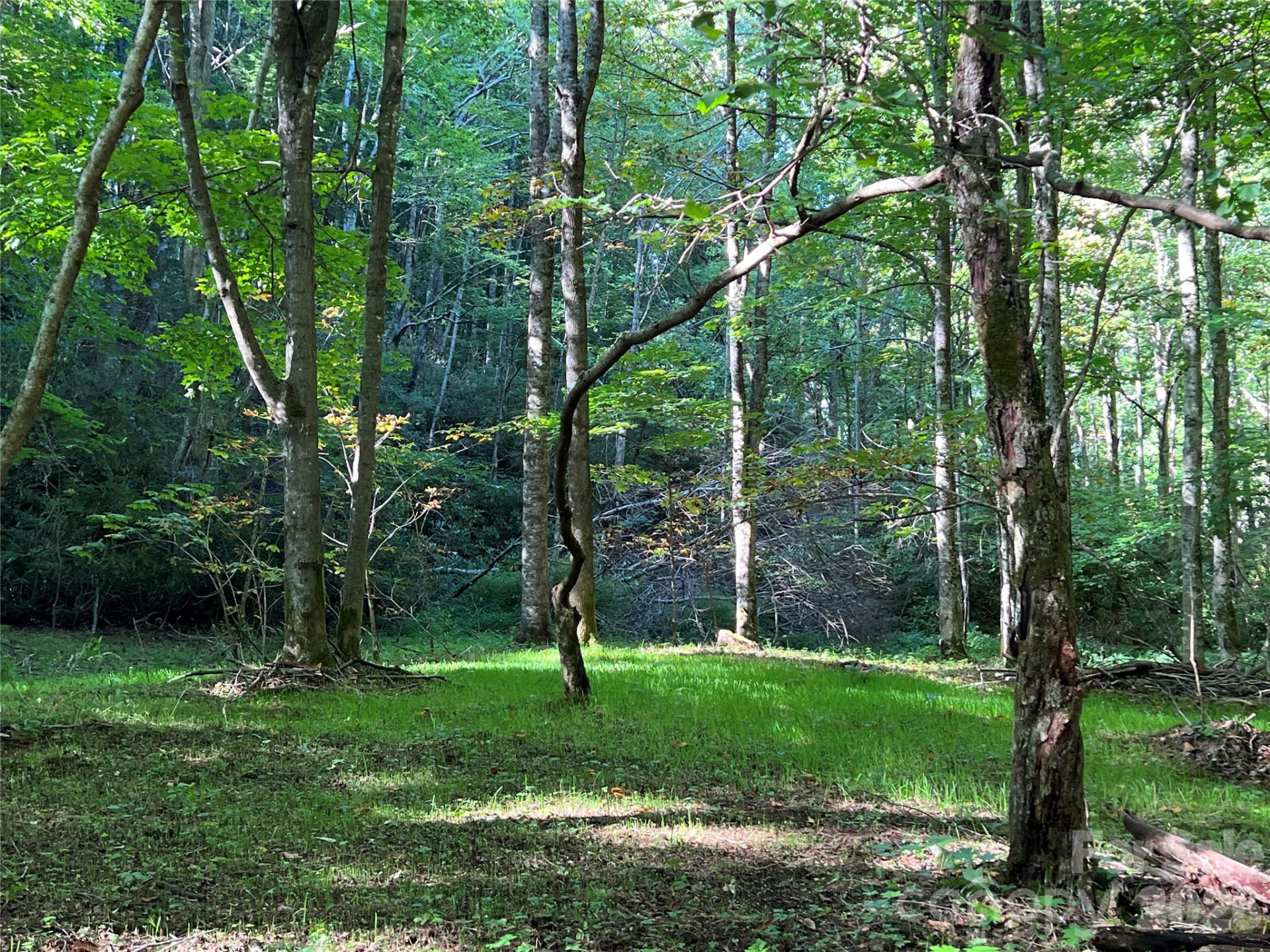 2778 Mule Stomp Road - Photo 7