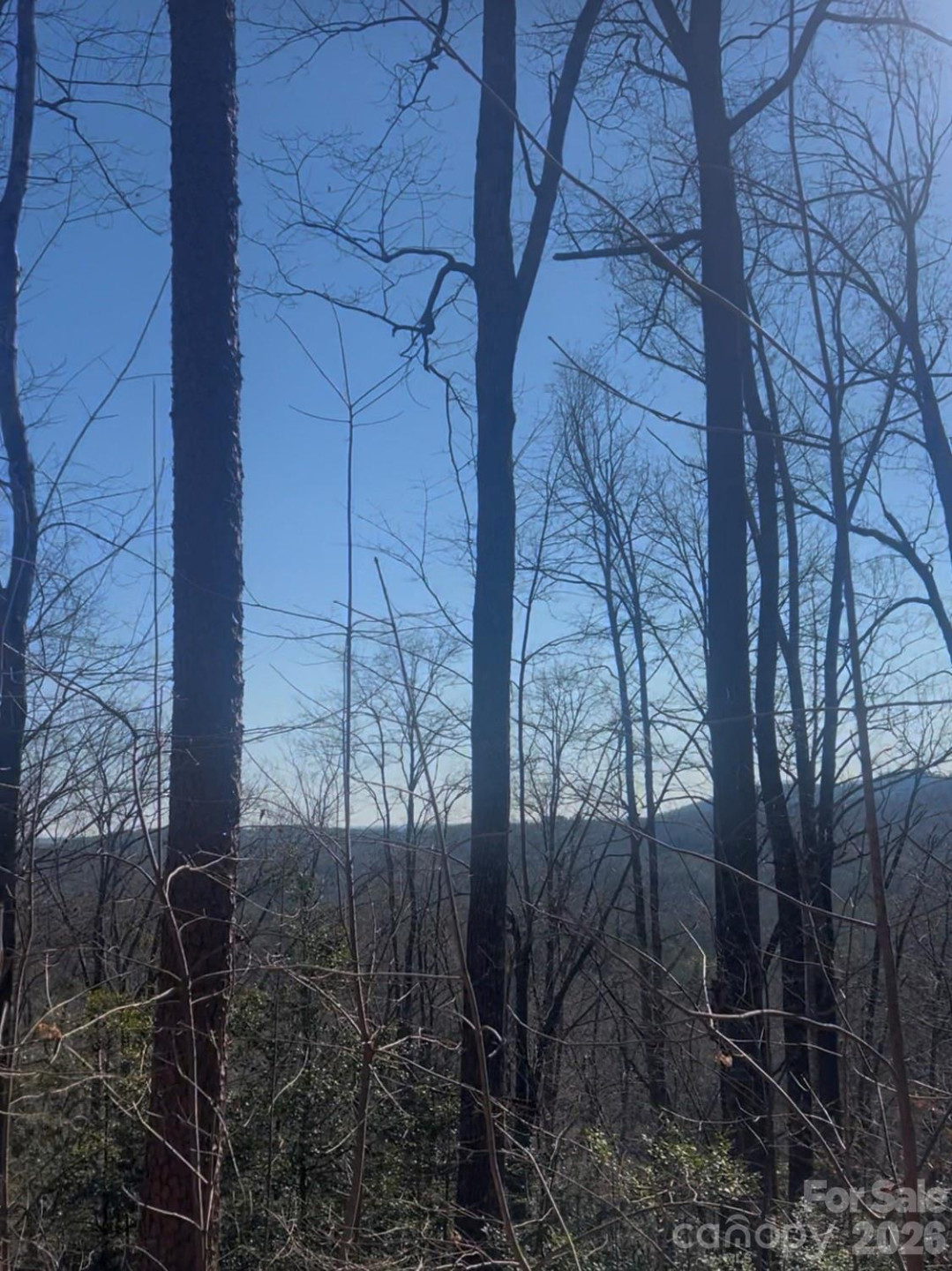 0 Dogwood Drive - Photo 2