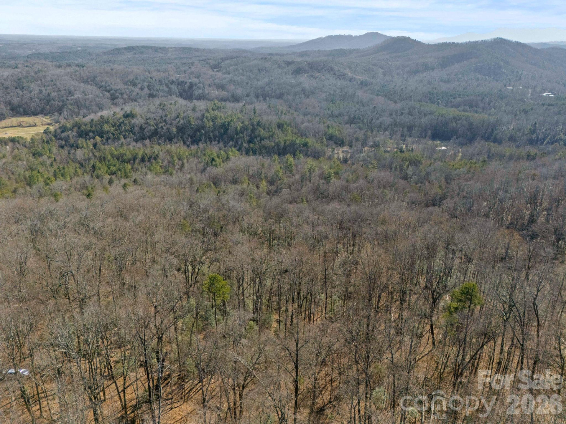 0 Dogwood Drive - Photo 12