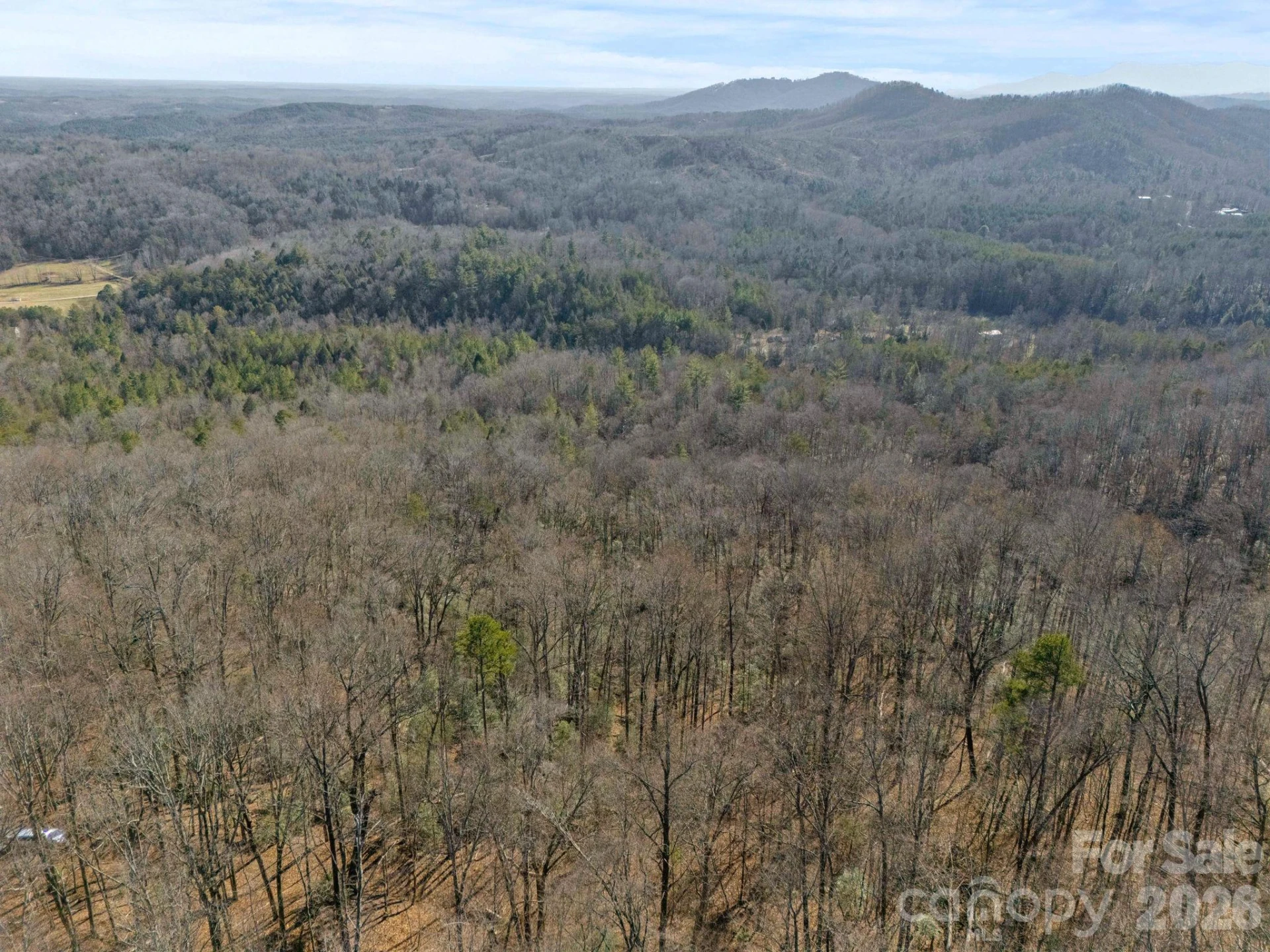 0 Dogwood Drive - Photo 12