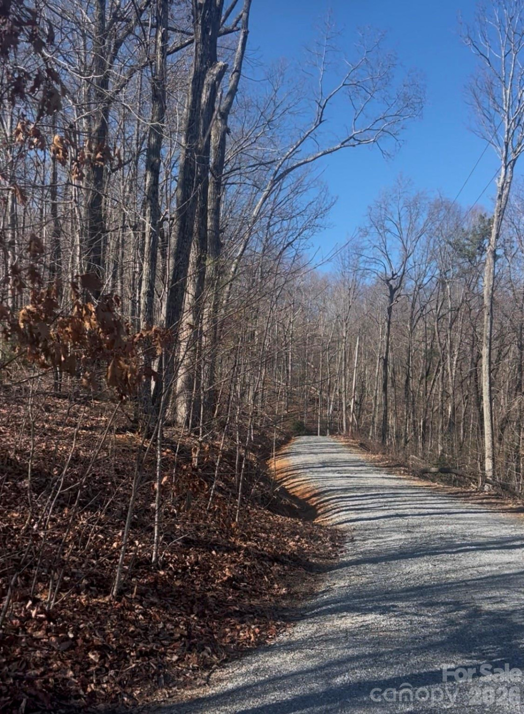 0 Dogwood Drive - Photo 3