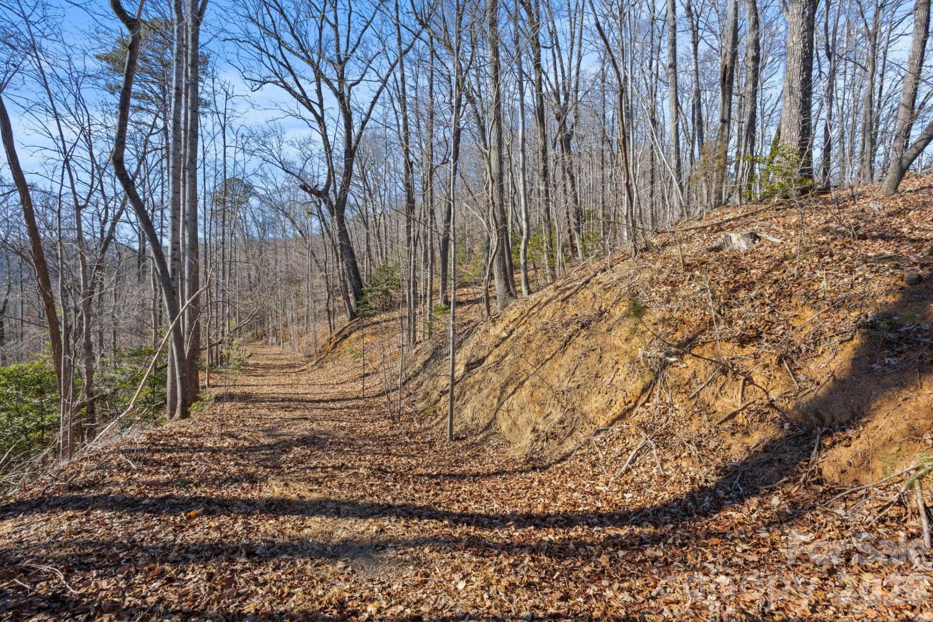 0 Dogwood Drive - Photo 5