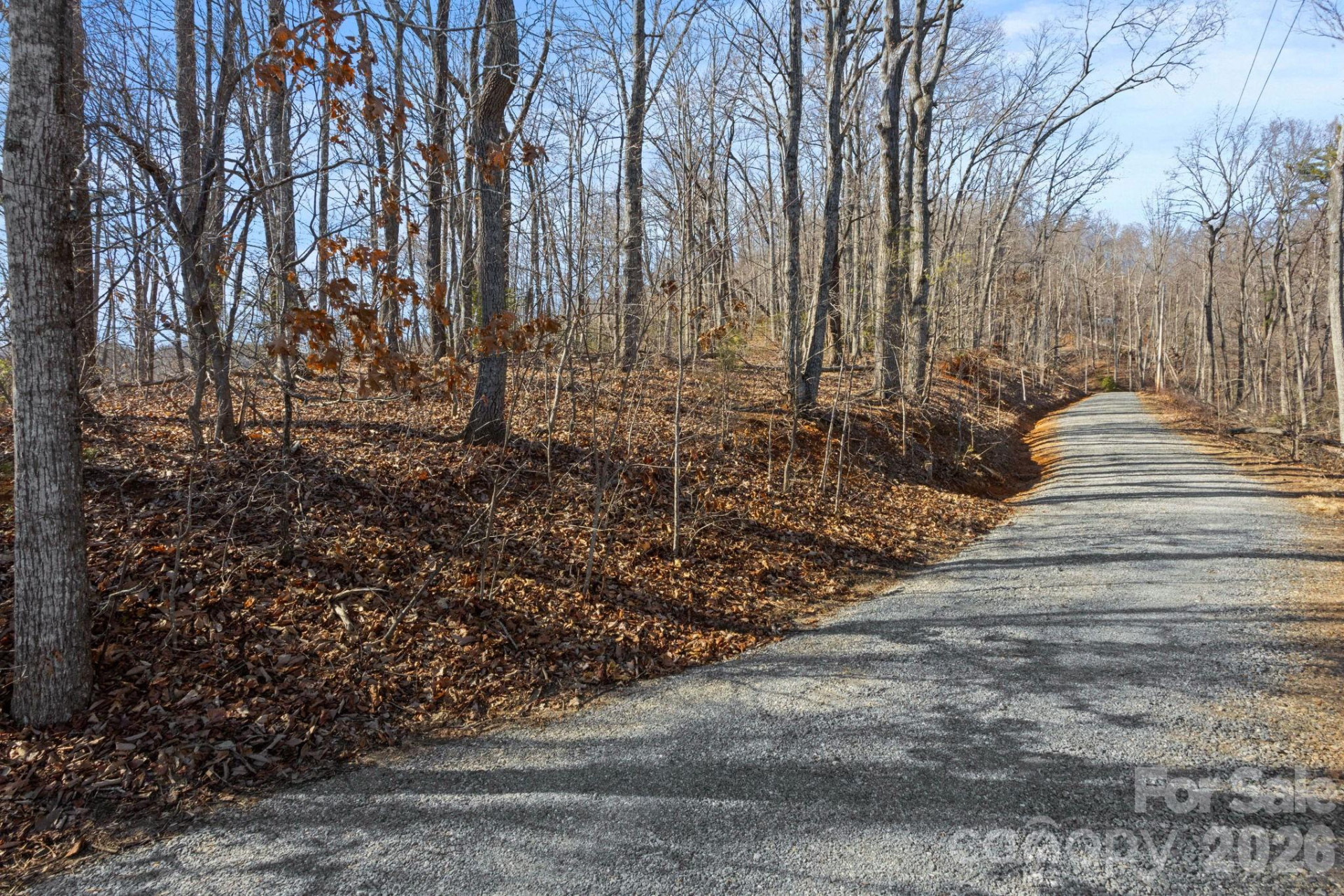 0 Dogwood Drive - Photo 7