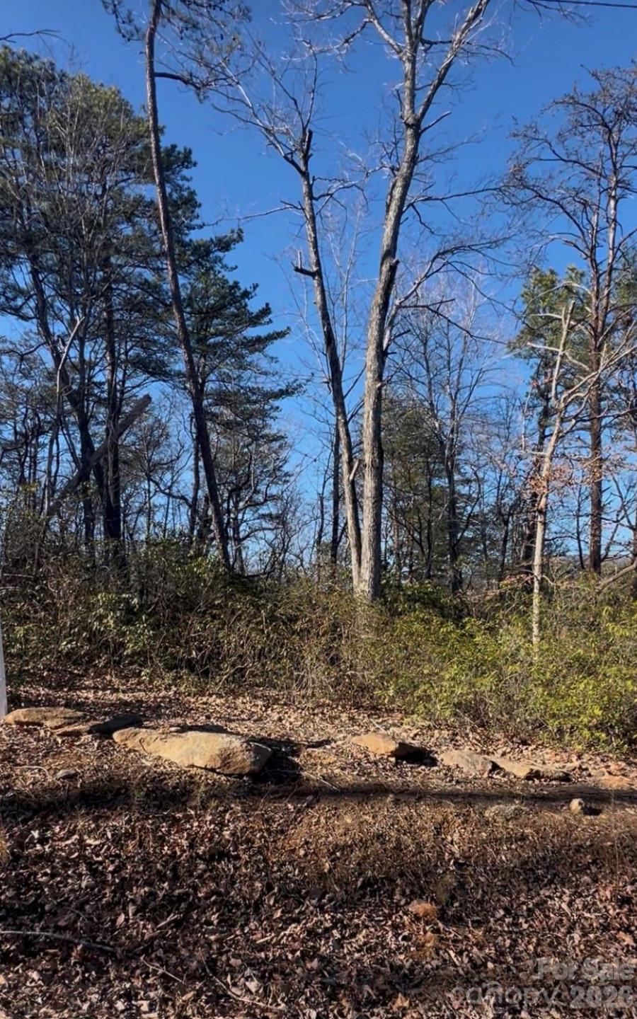 0 Ridgecrest Drive - Photo 2