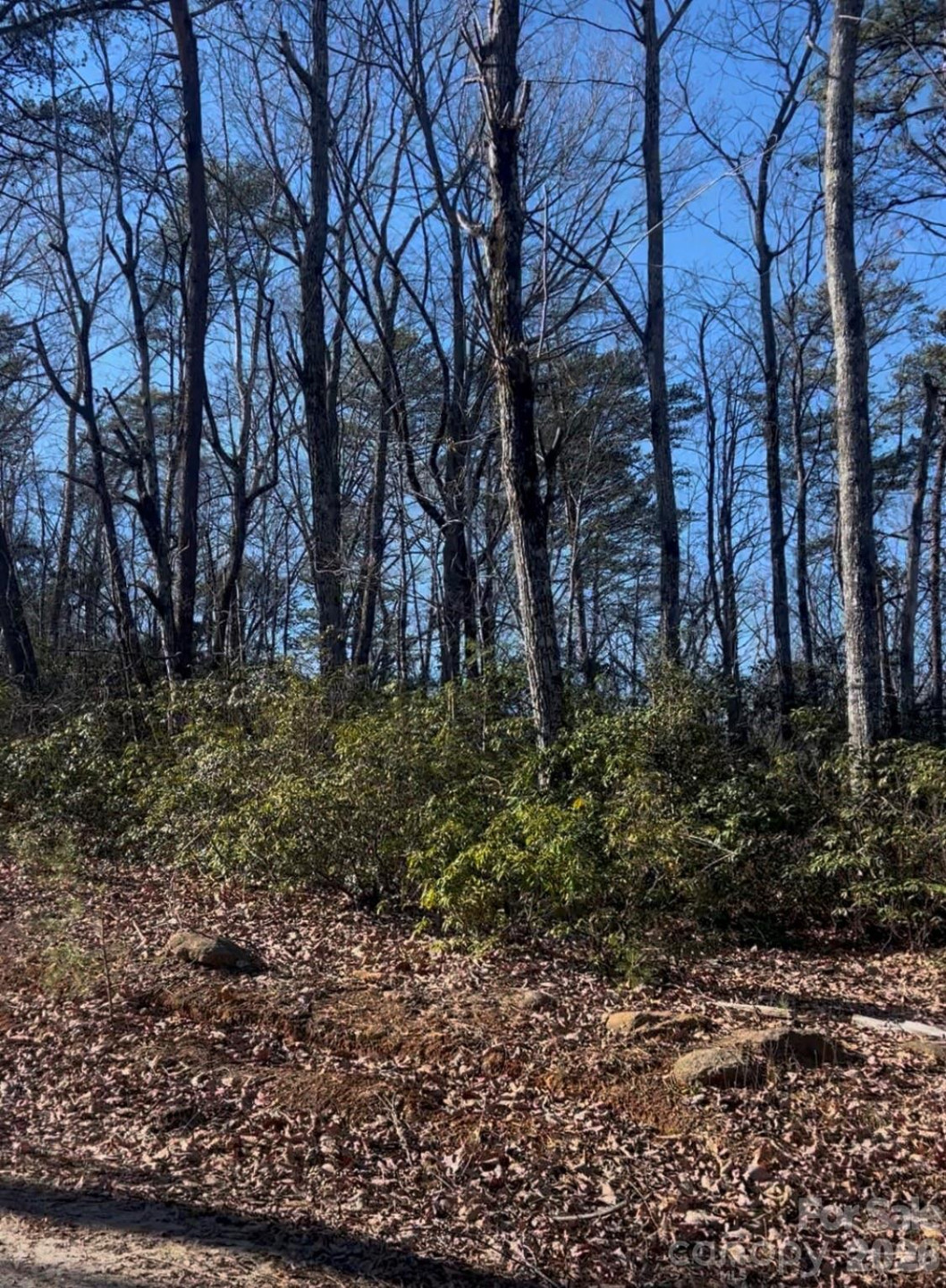 0 Ridgecrest Drive - Photo 3