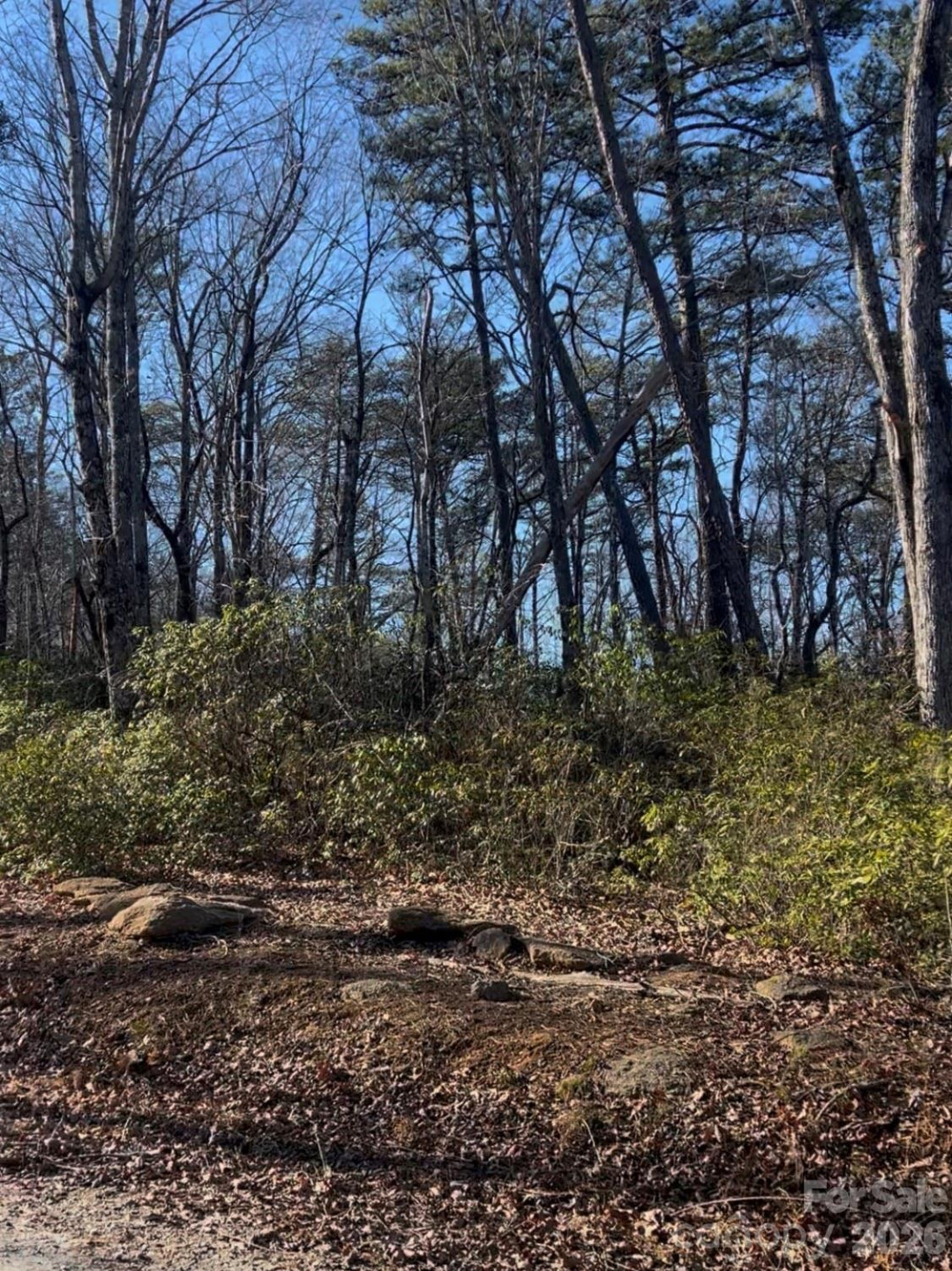 0 Ridgecrest Drive - Photo 4