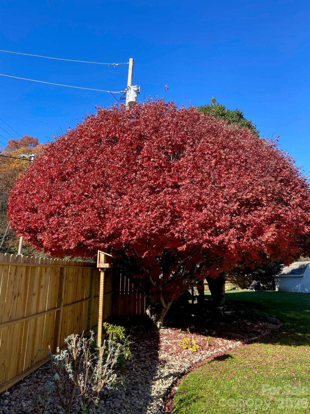 79 Sunflower Lane - Photo 29