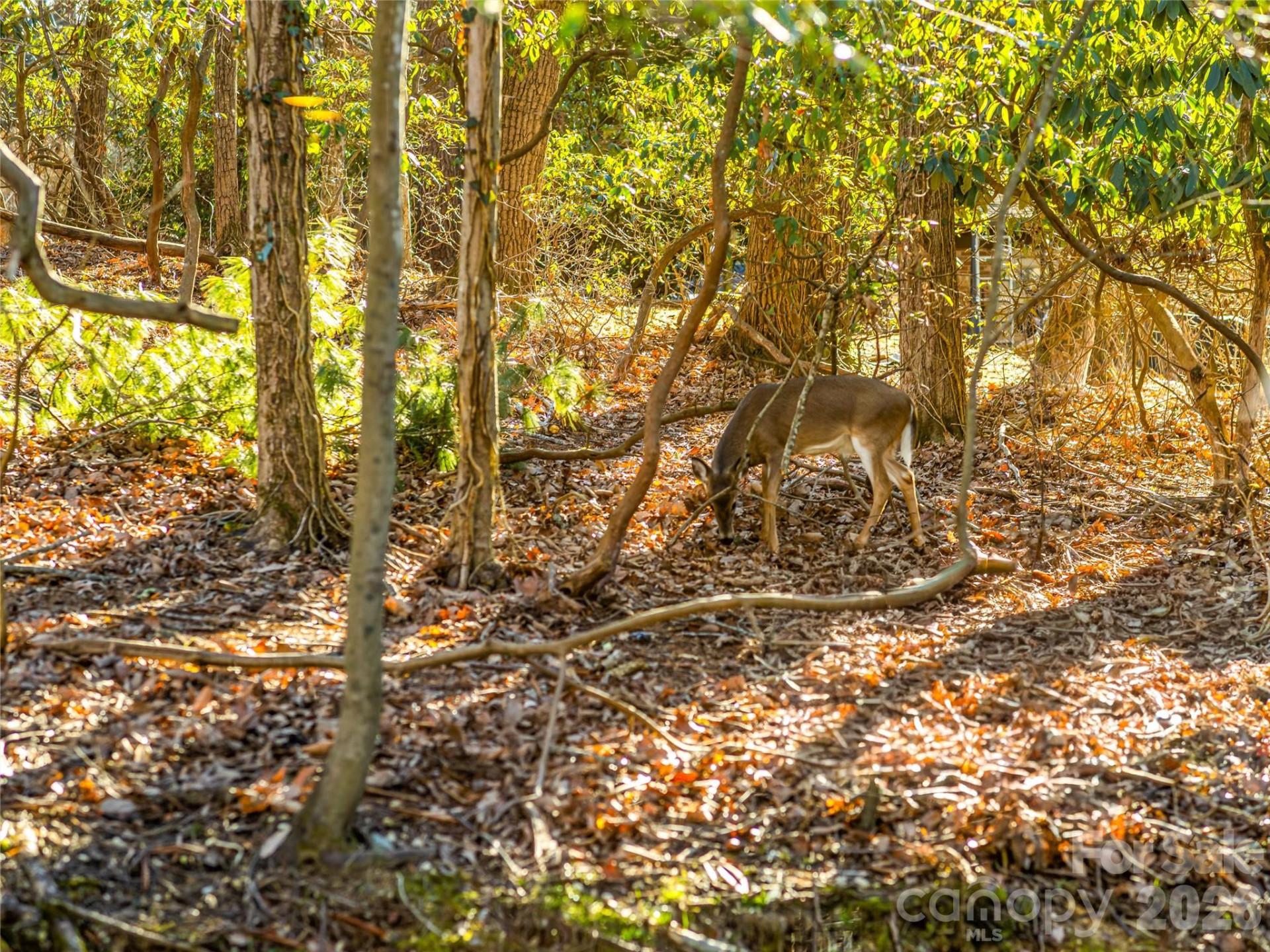 2388 Hebron Road - Photo 42