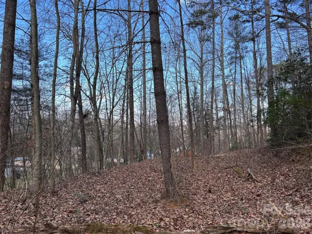 301 Burke Street, Hickory, NC, 28601