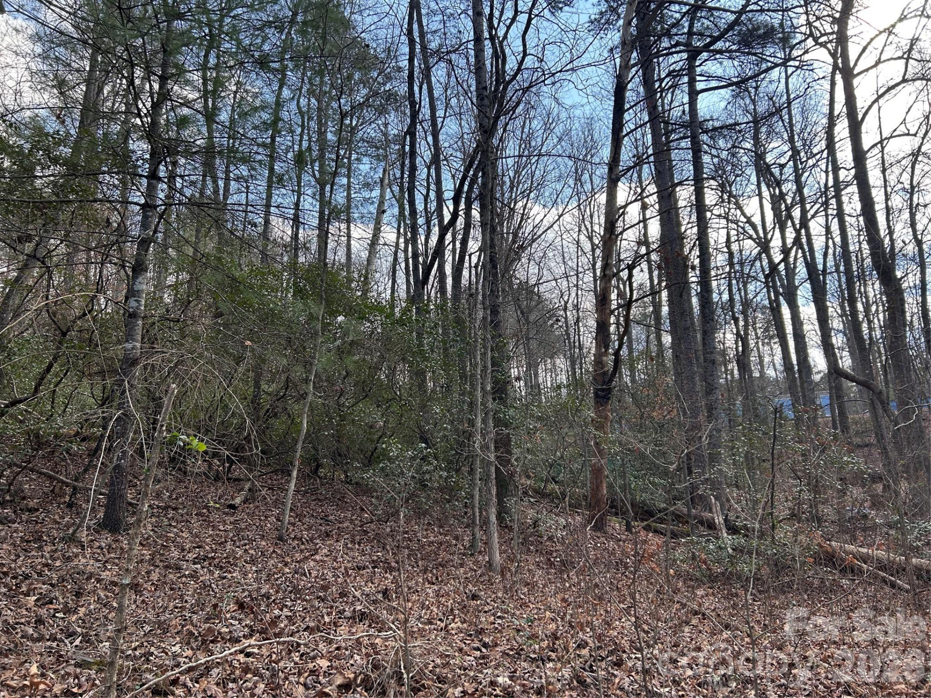 301 Burke Street - Photo 11