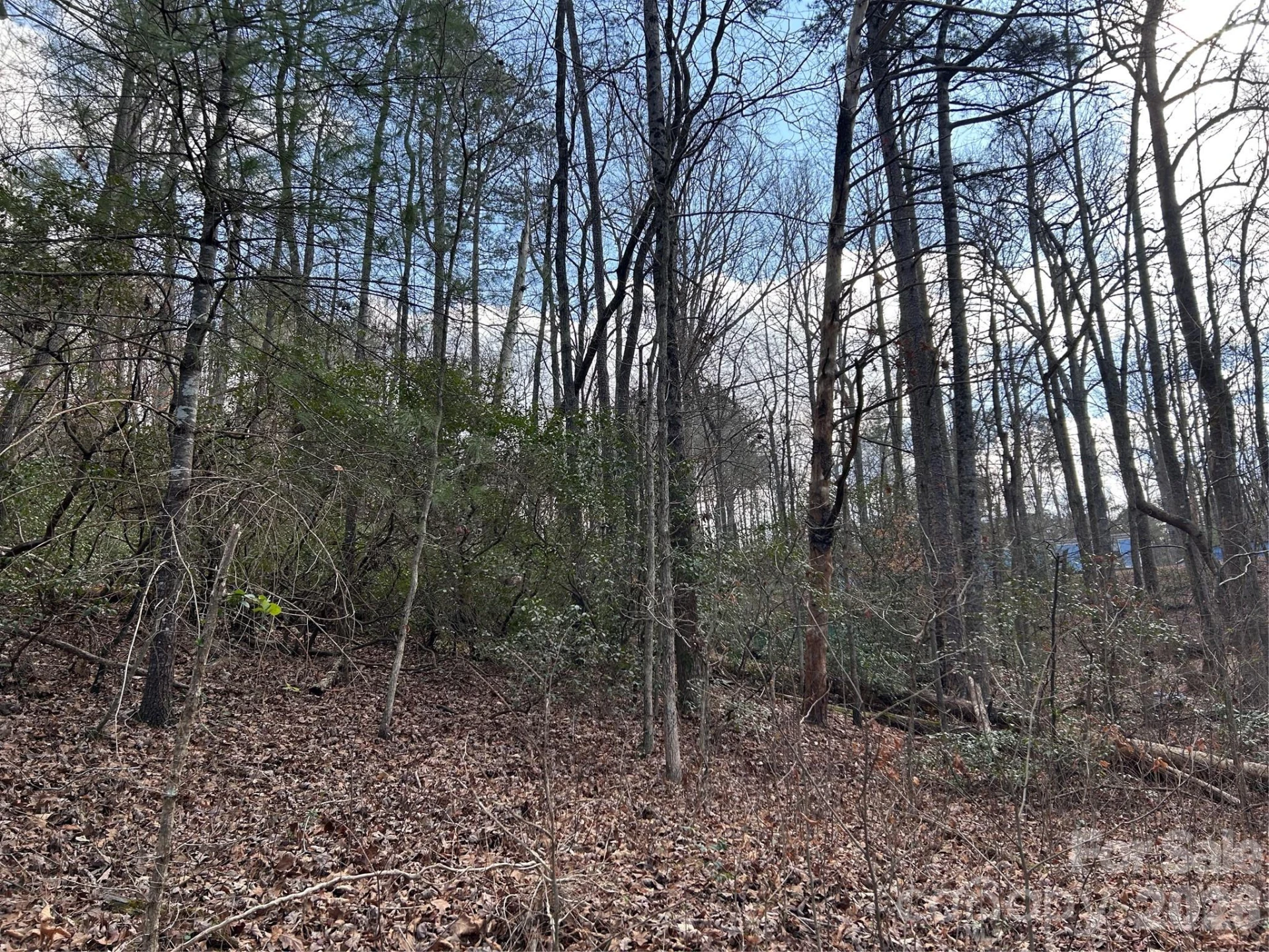 301 Burke Street - Photo 11