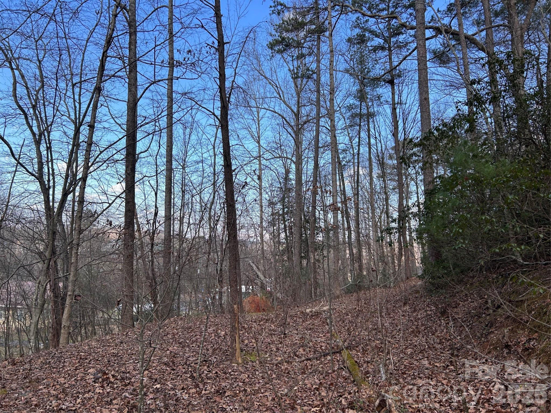 301 Burke Street - Photo 12