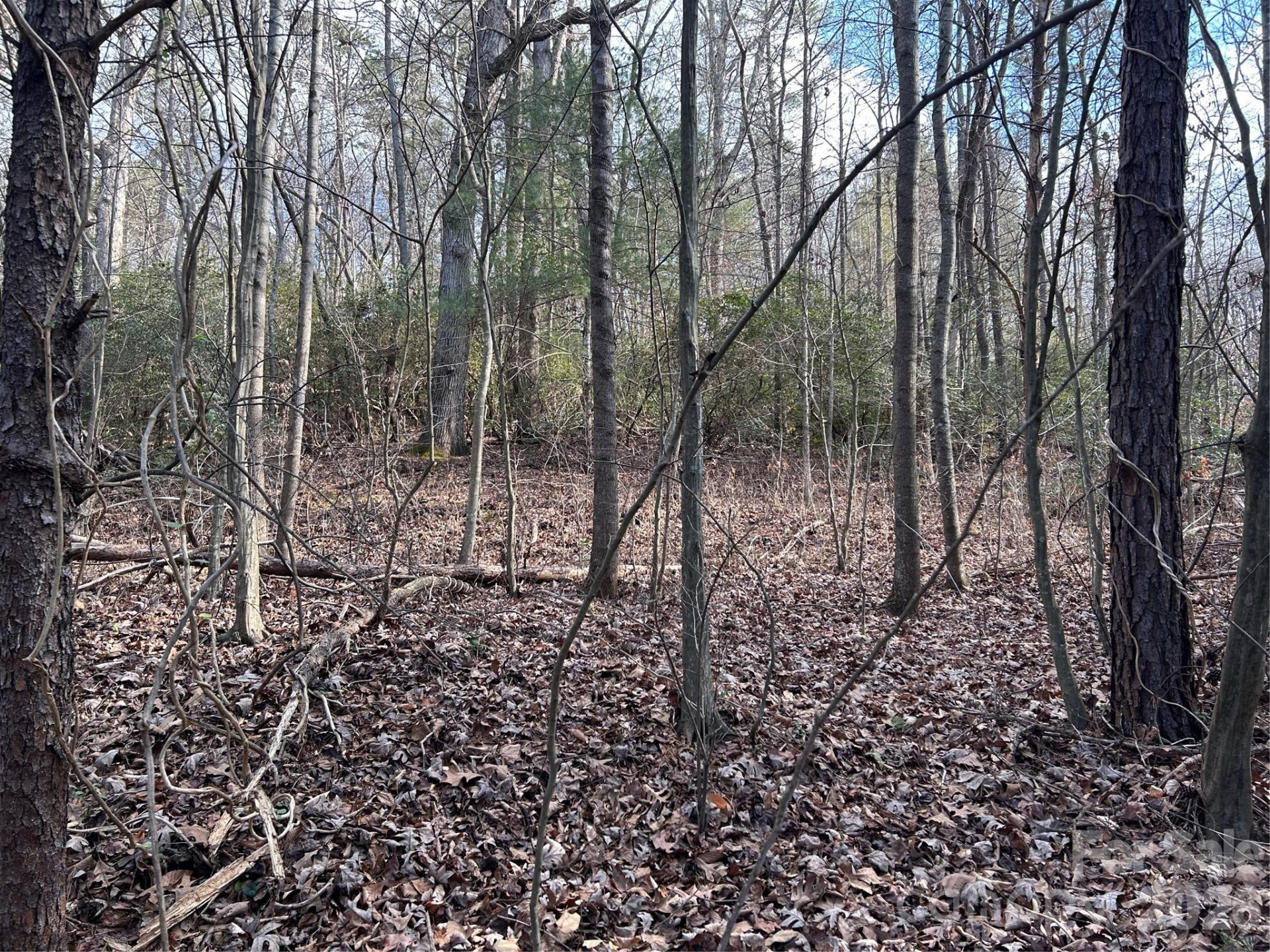 301 Burke Street - Photo 5