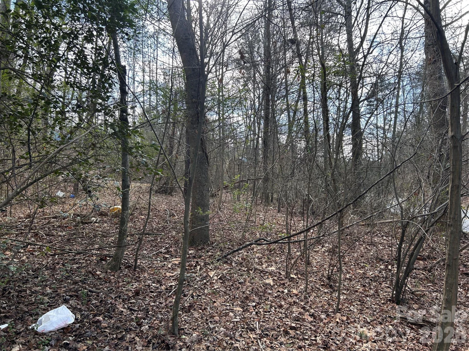 301 Burke Street - Photo 6