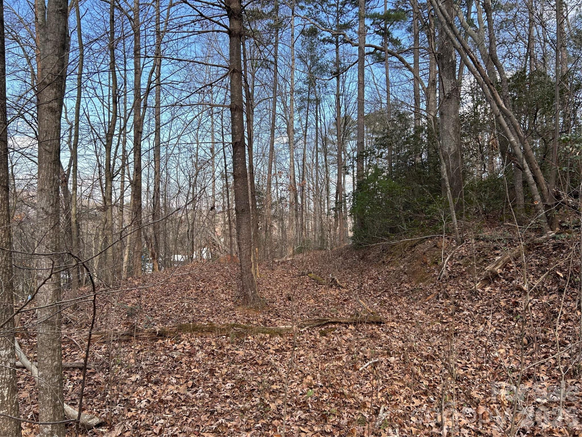 301 Burke Street - Photo 8