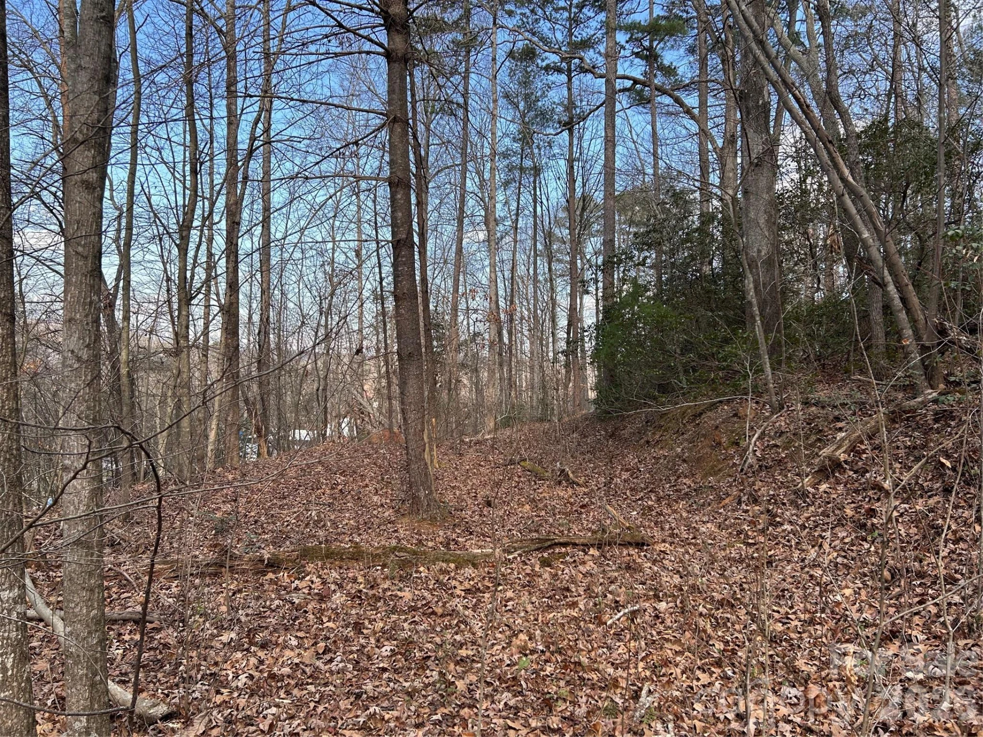 301 Burke Street - Photo 8