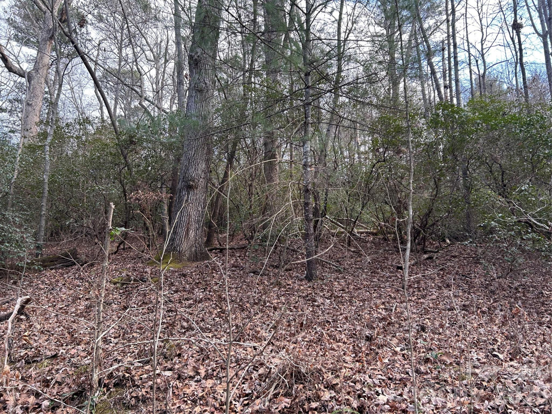 301 Burke Street - Photo 9