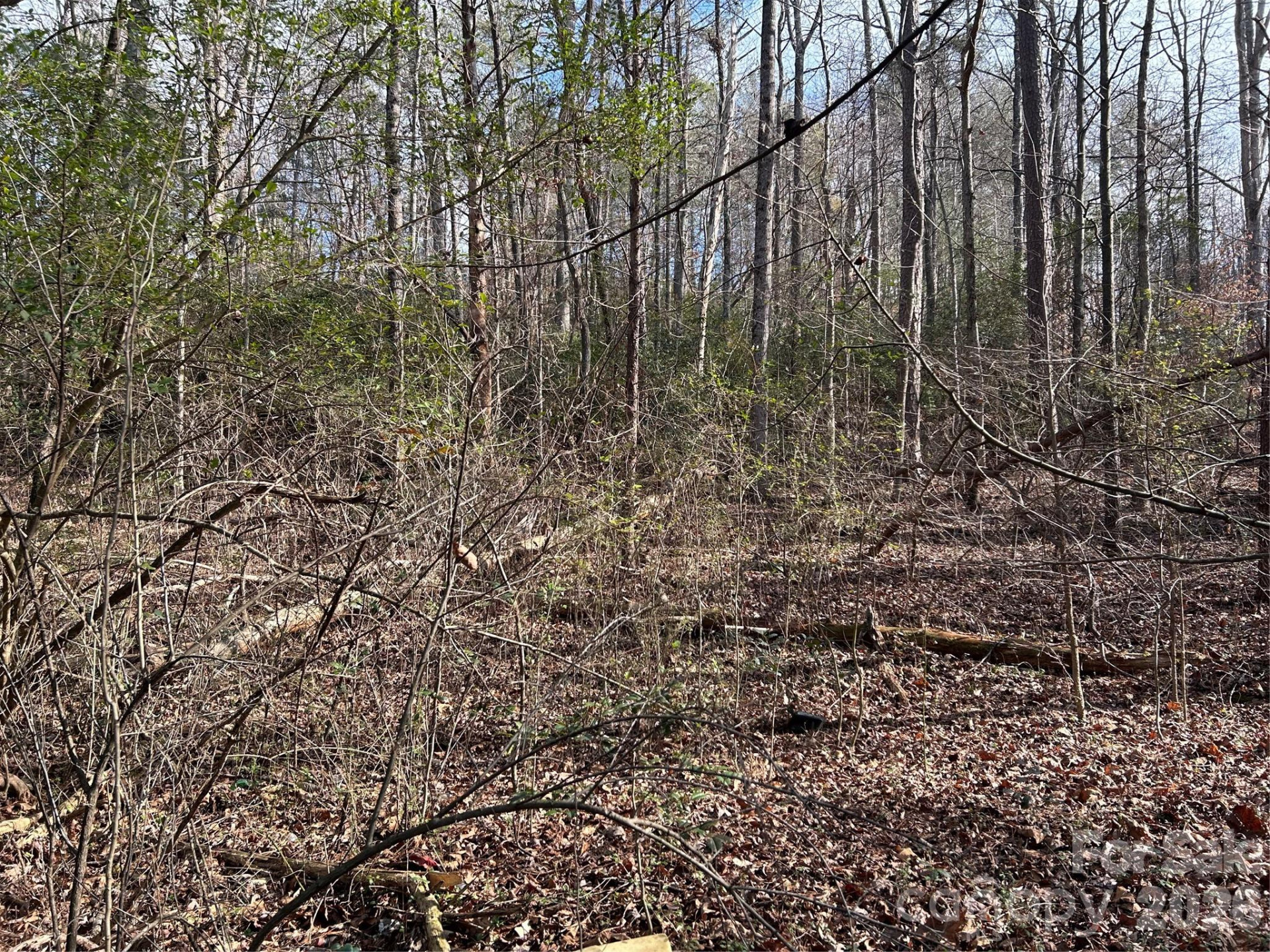 303 Burke Street - Photo 5