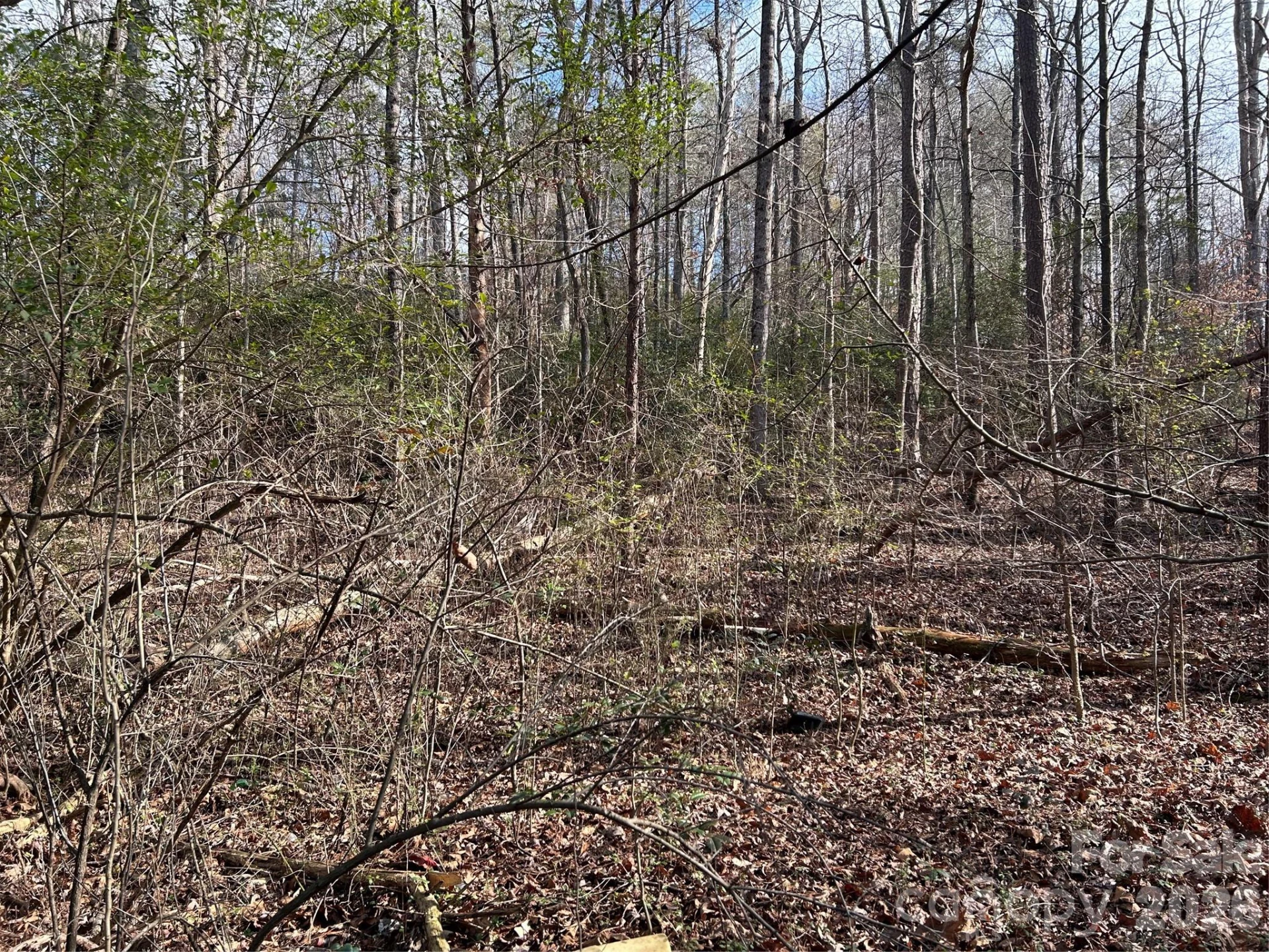303 Burke Street - Photo 5