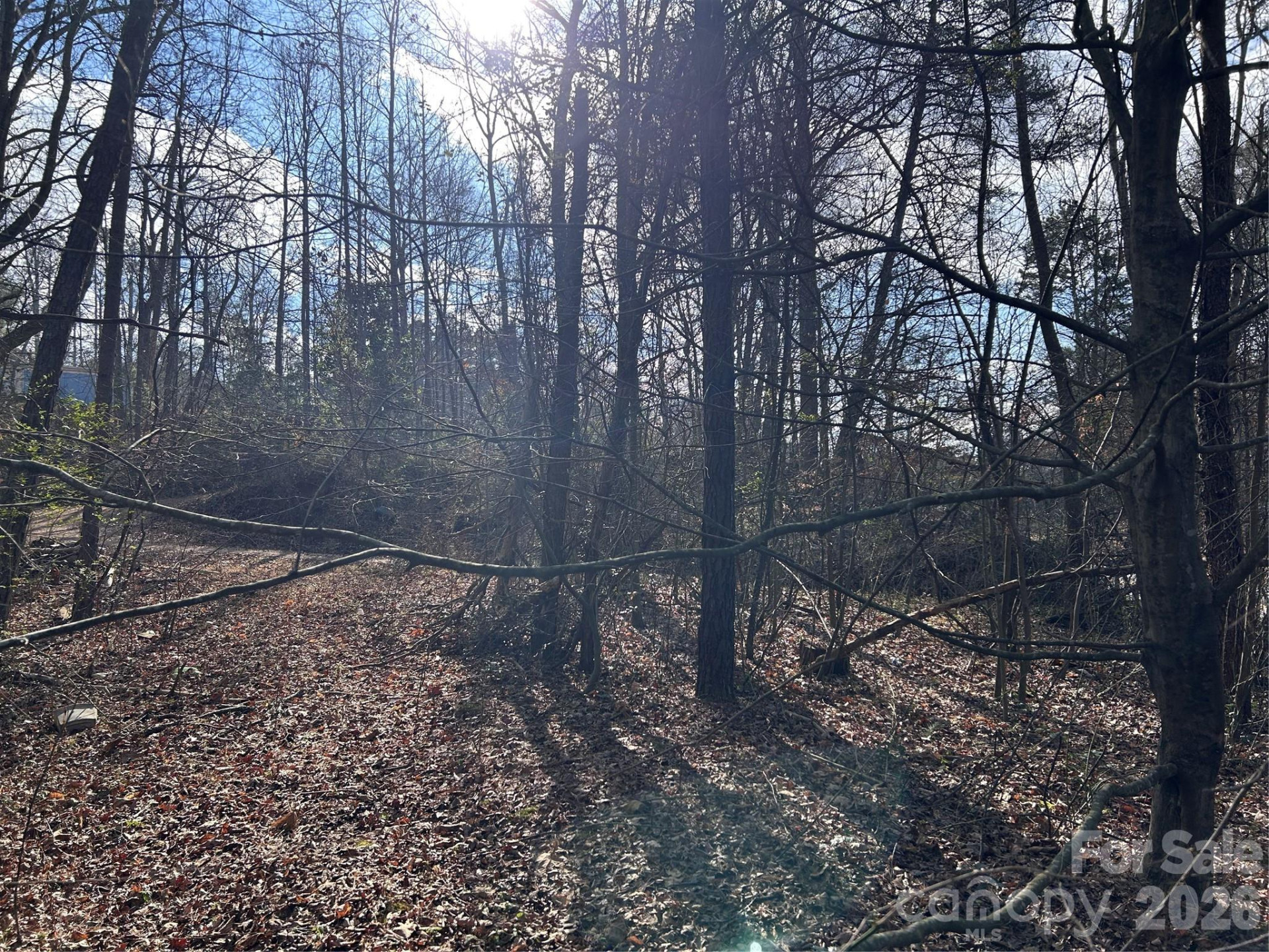 303 Burke Street - Photo 6