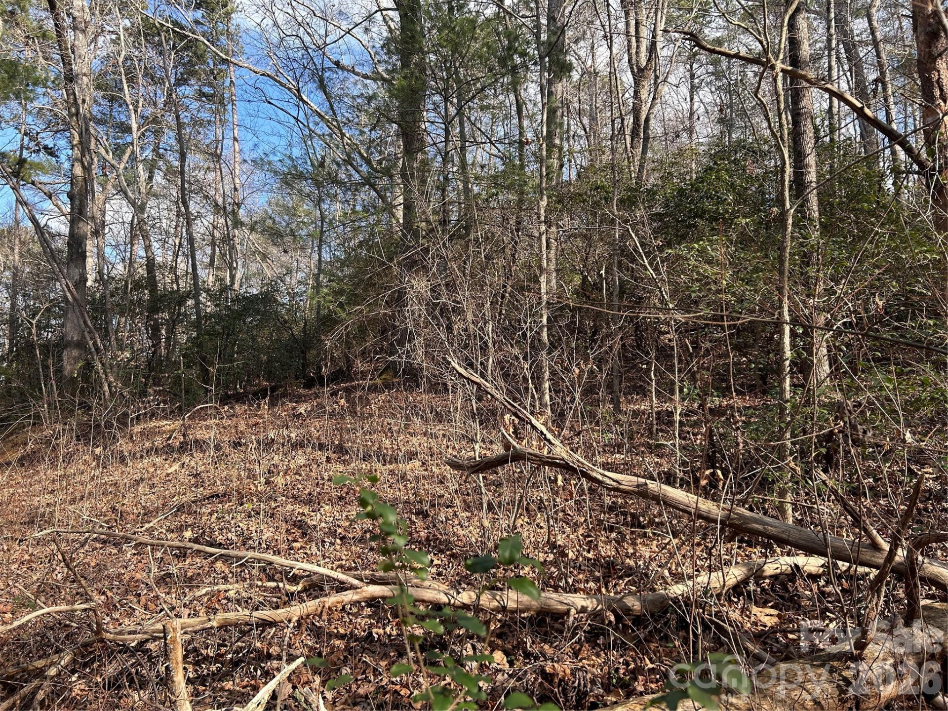 303 Burke Street - Photo 7