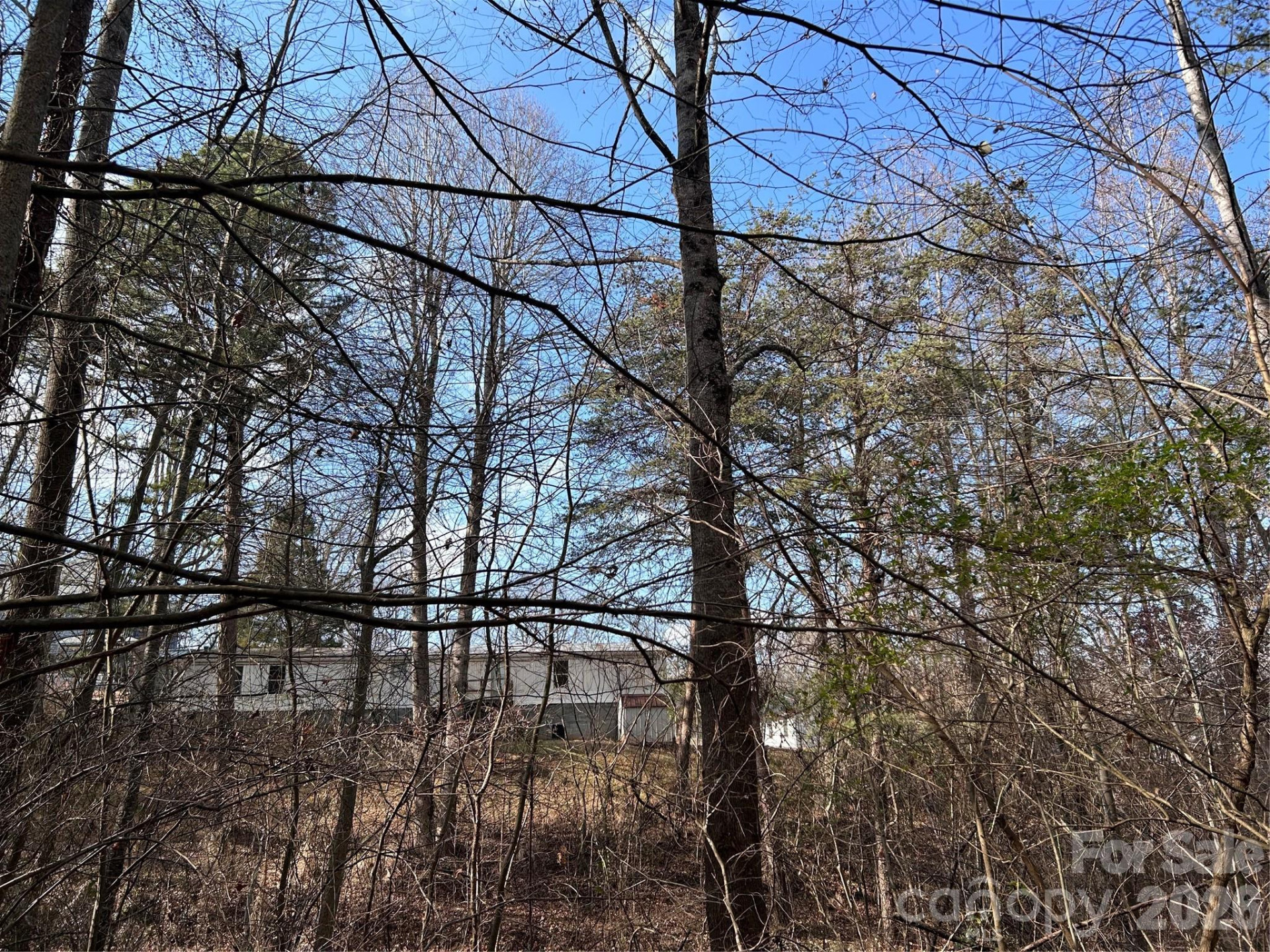 303 Burke Street - Photo 8