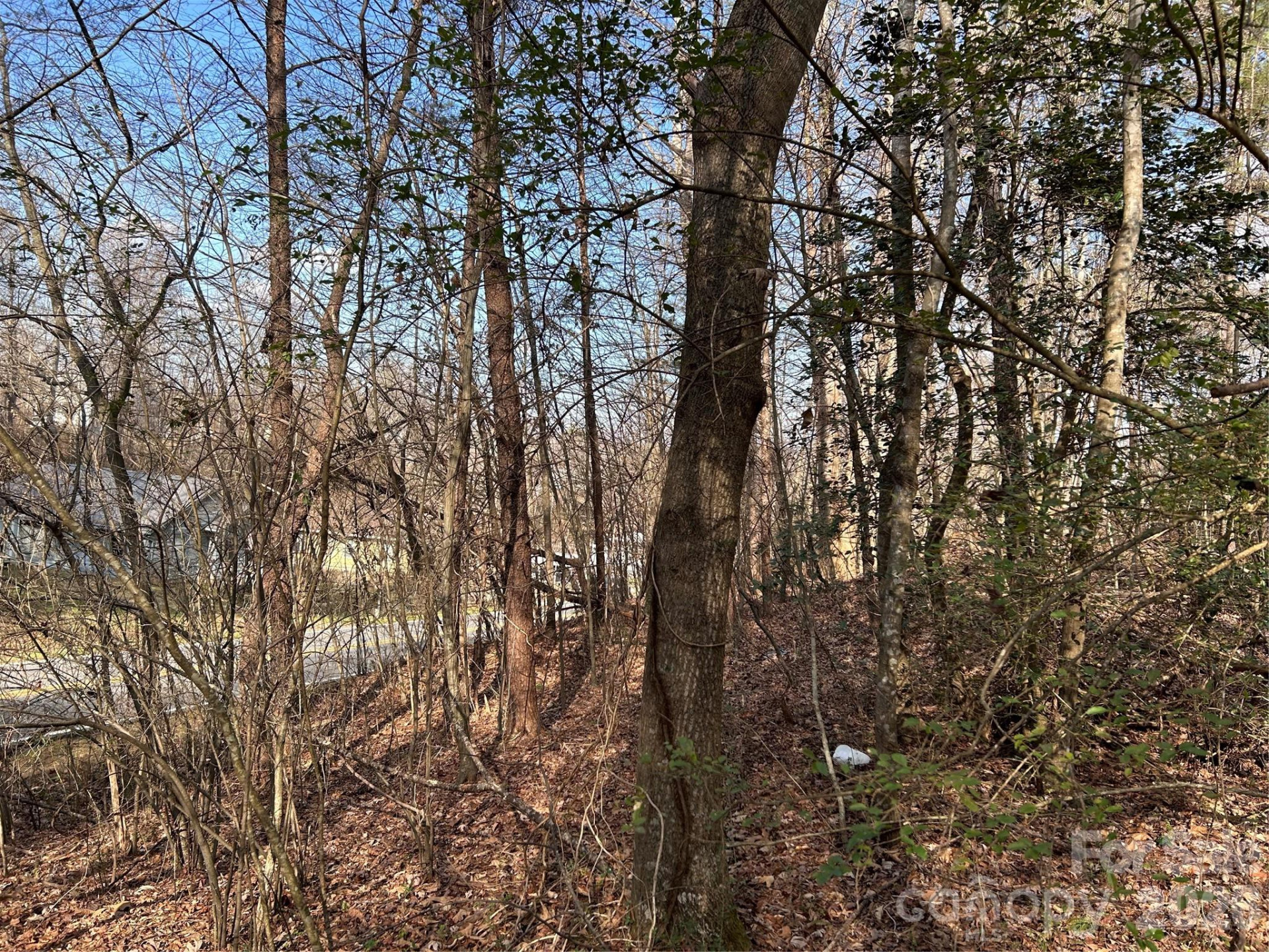 303 Burke Street - Photo 9