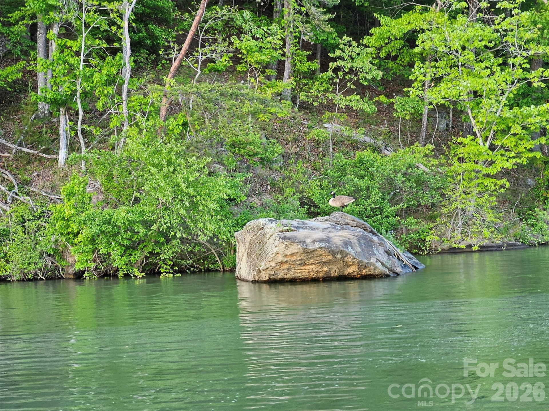 00 Hawk Ridge Drive #8 - Photo 8