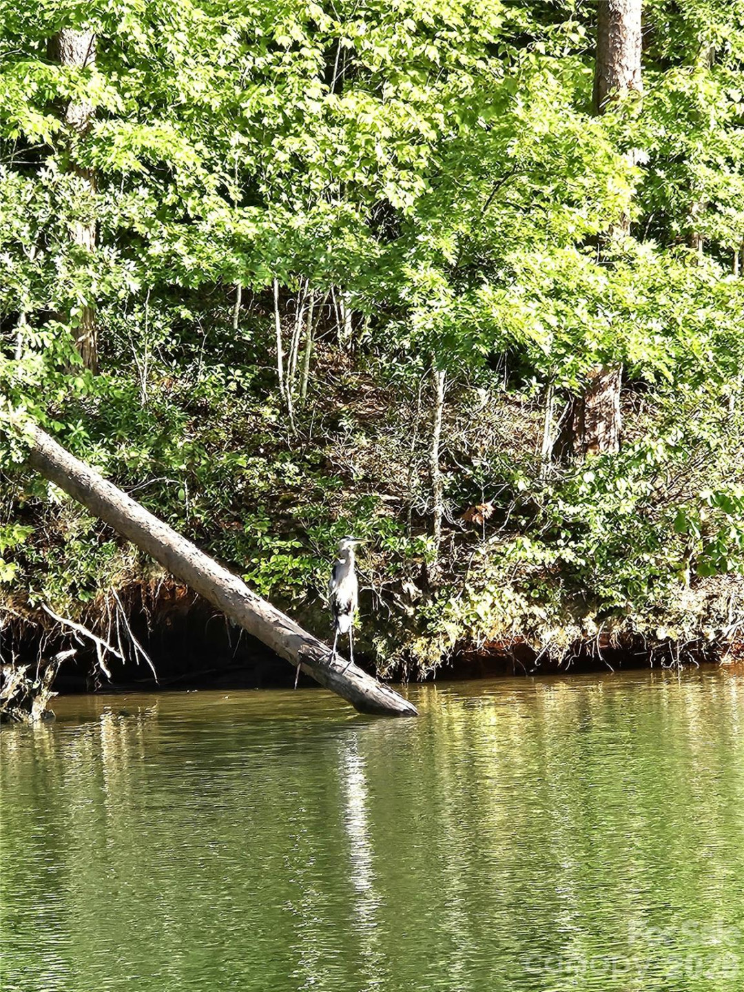 00 Hawk Ridge Drive #8 - Photo 10