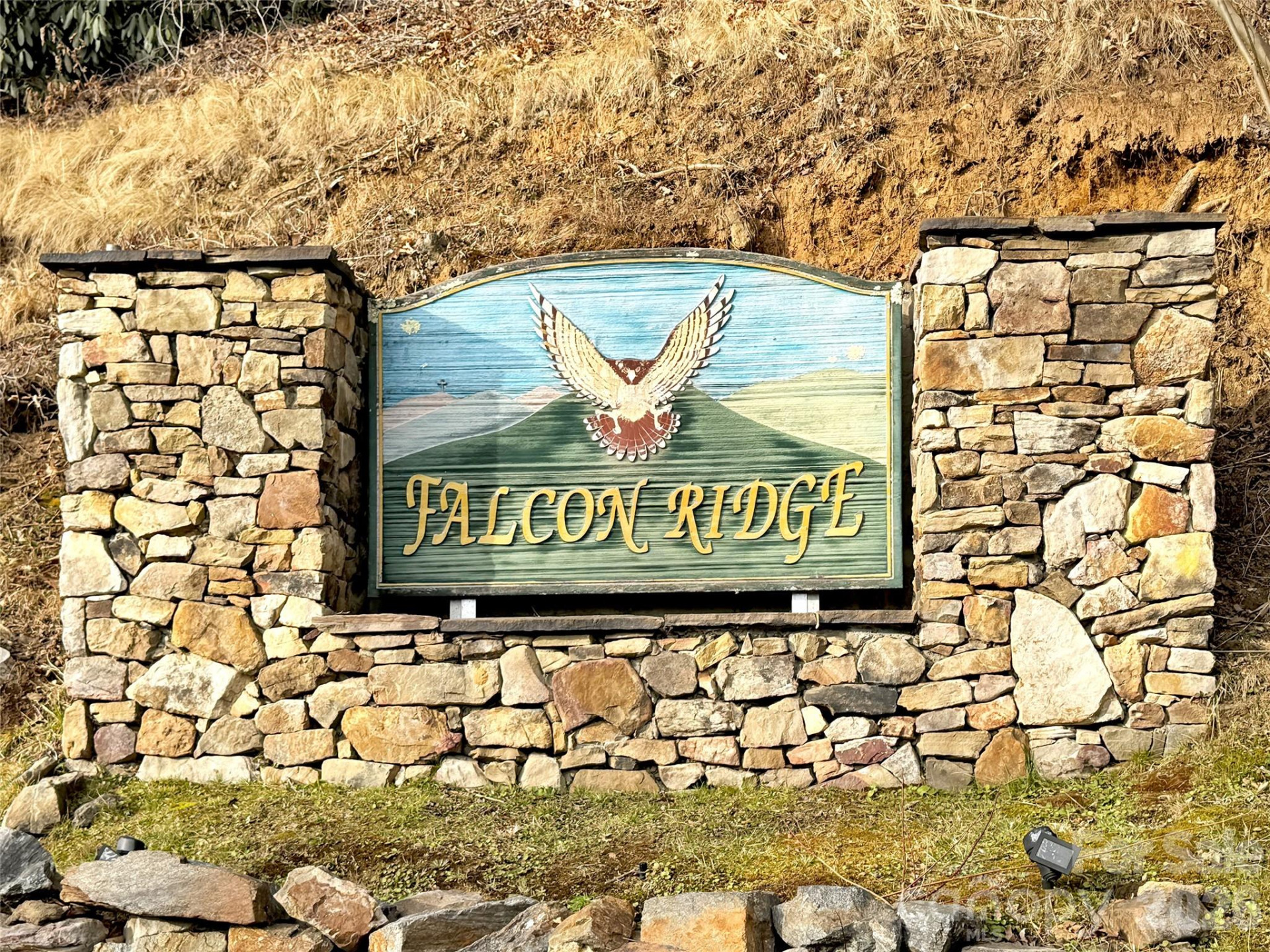 371 Falcon Ridge Drive - Photo 19