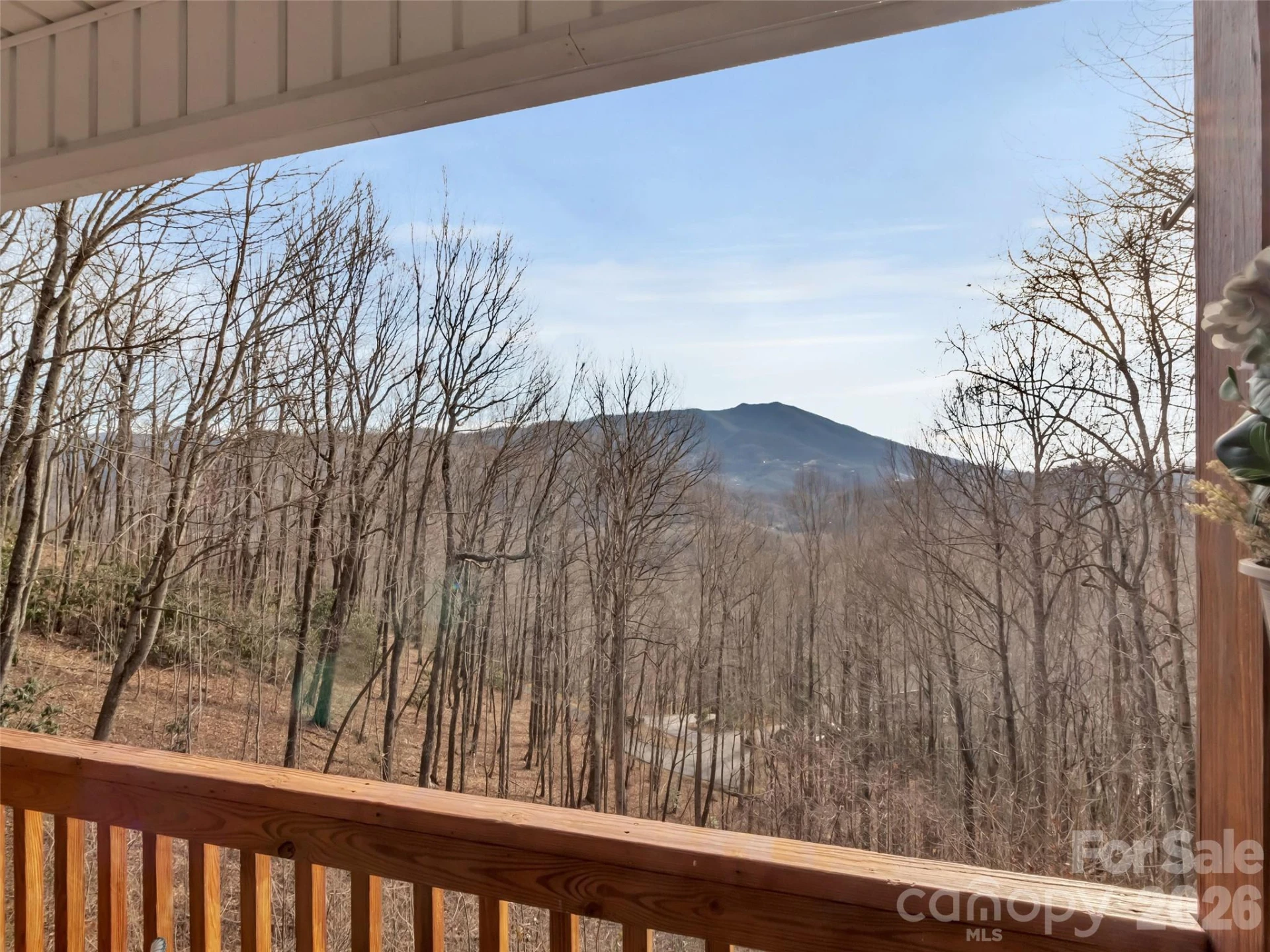 371 Falcon Ridge Drive - Photo 4