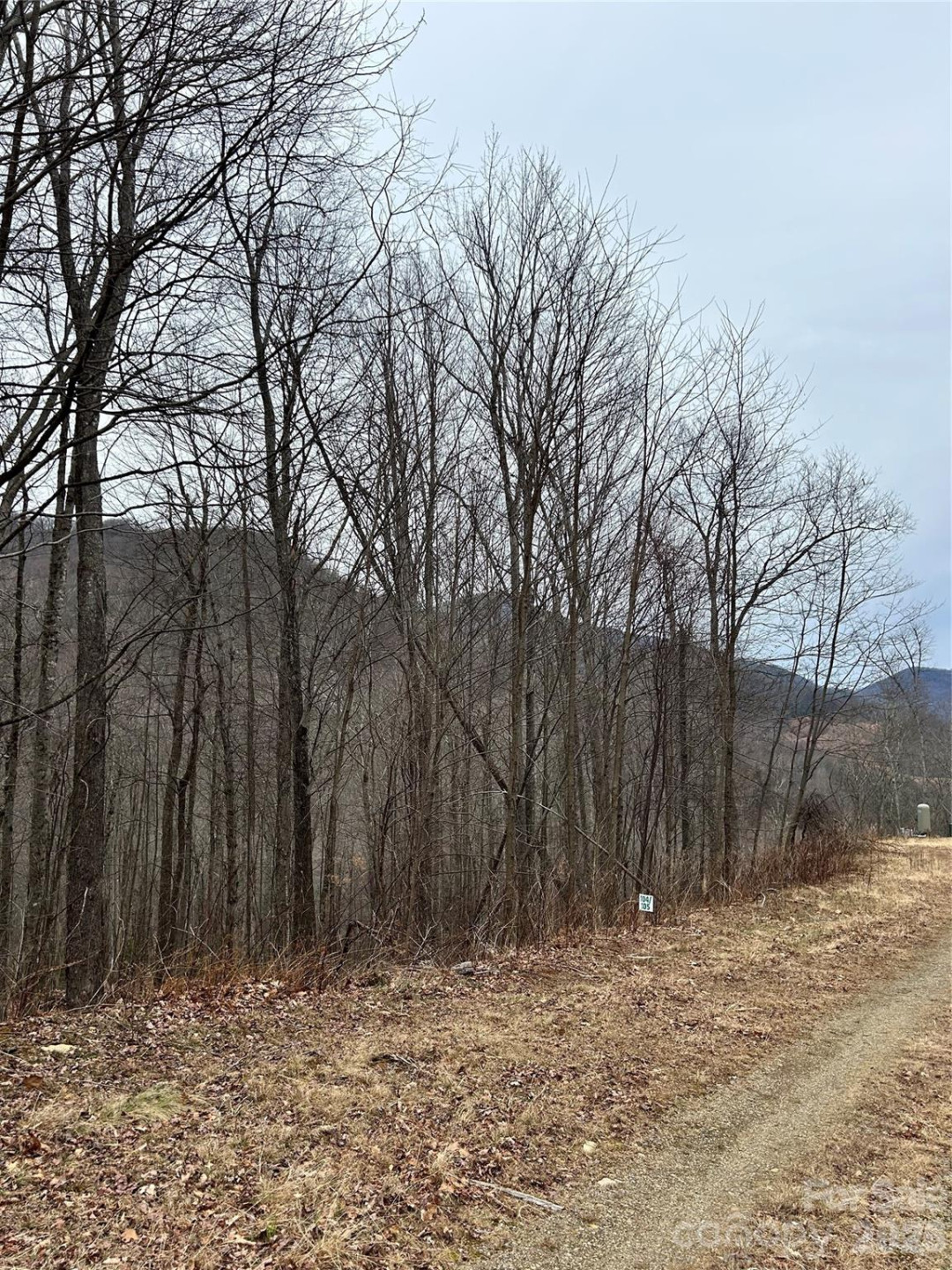 104 &105 Tenderfoot Trail - Photo 3