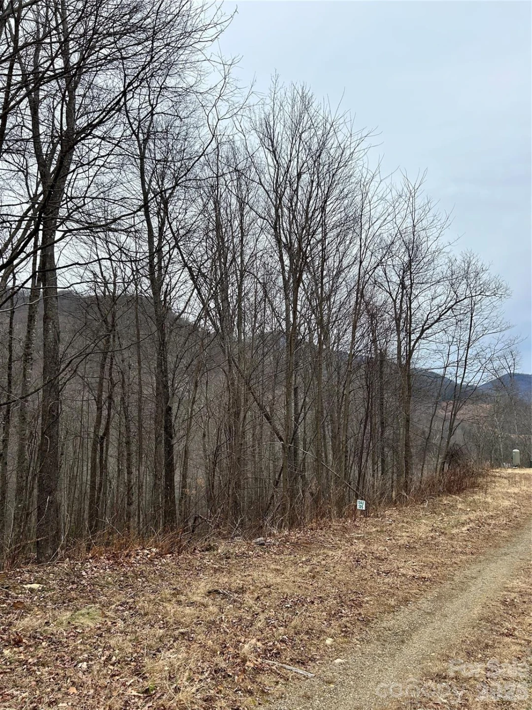 104 &105 Tenderfoot Trail - Photo 3