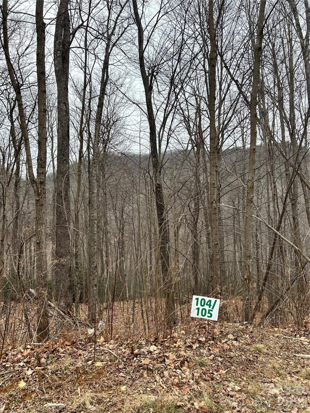 104 &105 Tenderfoot Trail - Photo 4