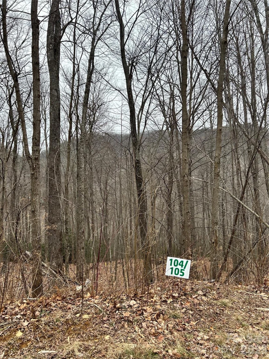 104 &105 Tenderfoot Trail - Photo 4