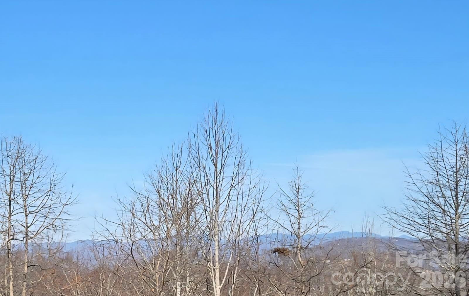 120 Breckenridge Court - Photo 25